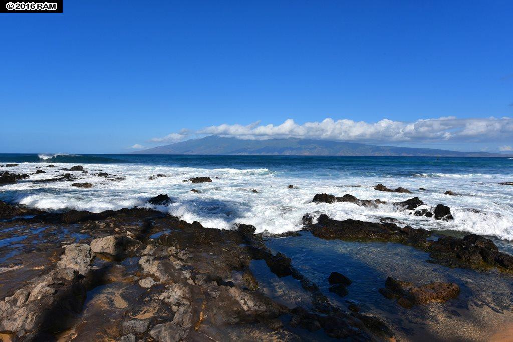 Napili Shores condo # D230, Lahaina, Hawaii - photo 3 of 30