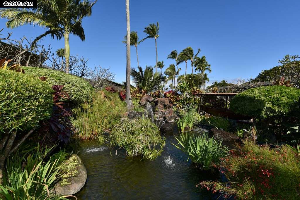 Napili Shores condo # D230, Lahaina, Hawaii - photo 29 of 30