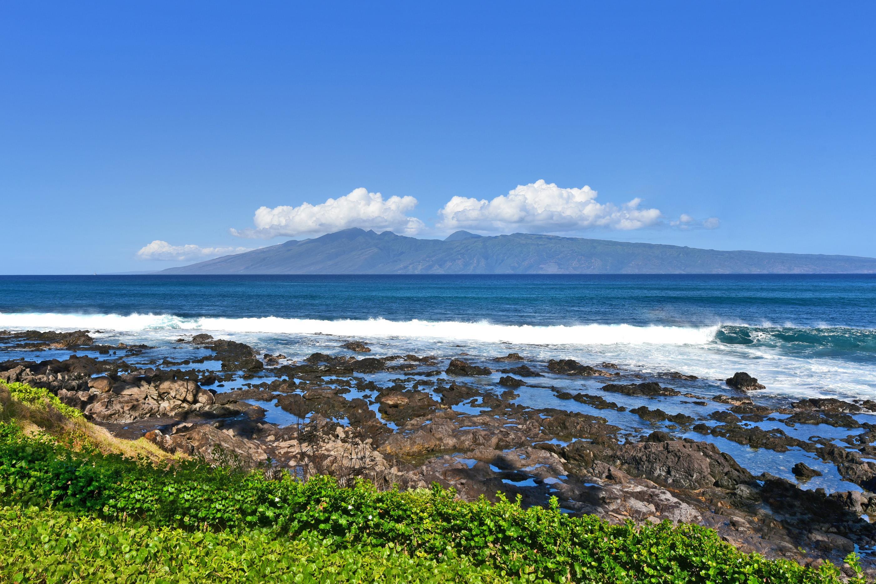 Napili Shores condo # D232, Lahaina, Hawaii - photo 23 of 33