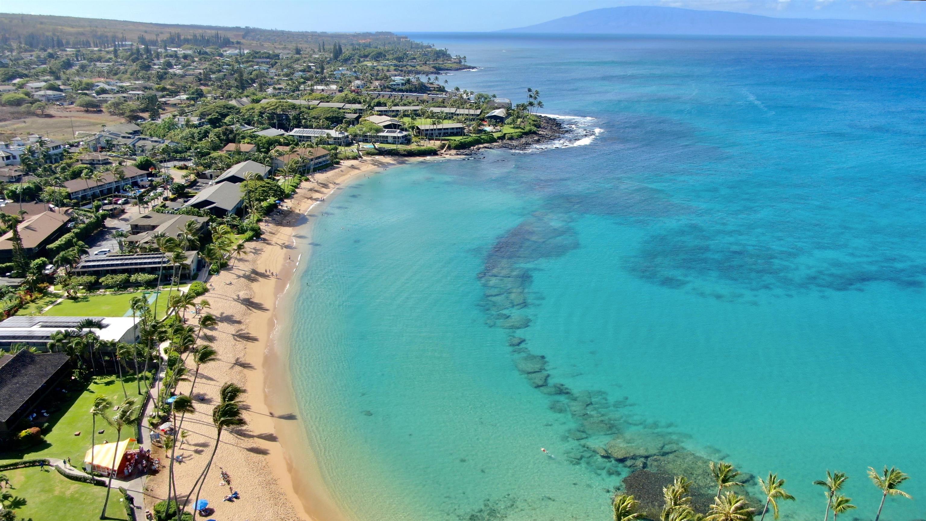 Napili Shores condo # D232, Lahaina, Hawaii - photo 2 of 31