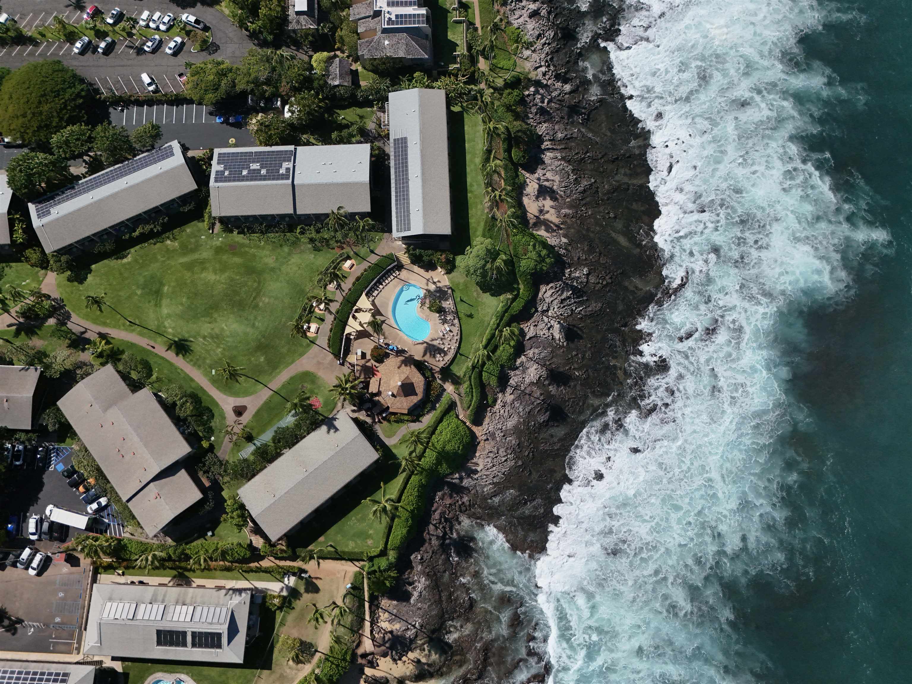 Napili Shores condo # D232, Lahaina, Hawaii - photo 14 of 31