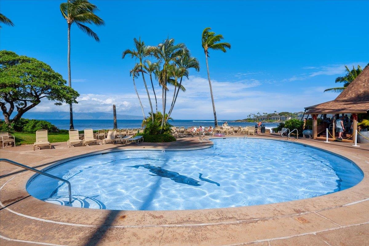 Napili Shores condo # D232, Lahaina, Hawaii - photo 3 of 31