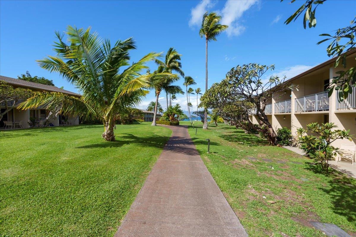 Napili Shores condo # D232, Lahaina, Hawaii - photo 28 of 31