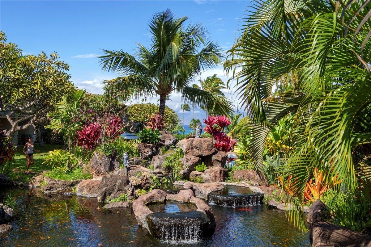 Napili Shores condo # D232, Lahaina, Hawaii - photo 29 of 31