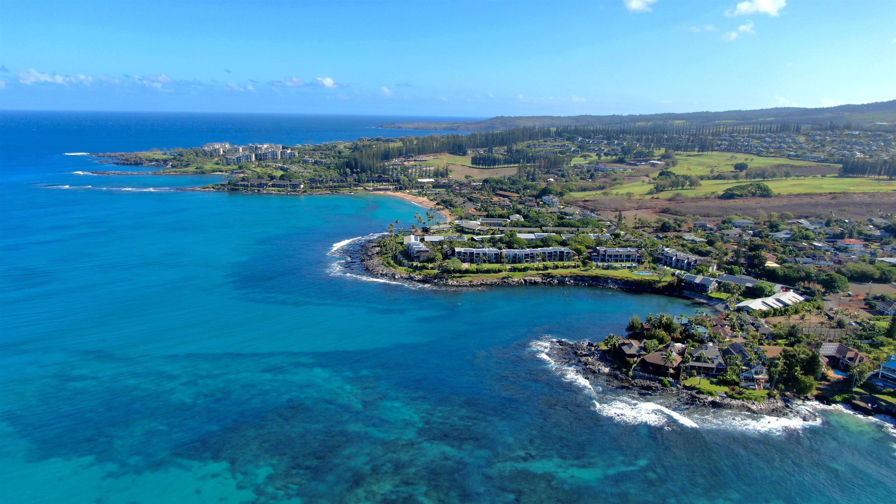 Napili Shores condo # D232, Lahaina, Hawaii - photo 31 of 31