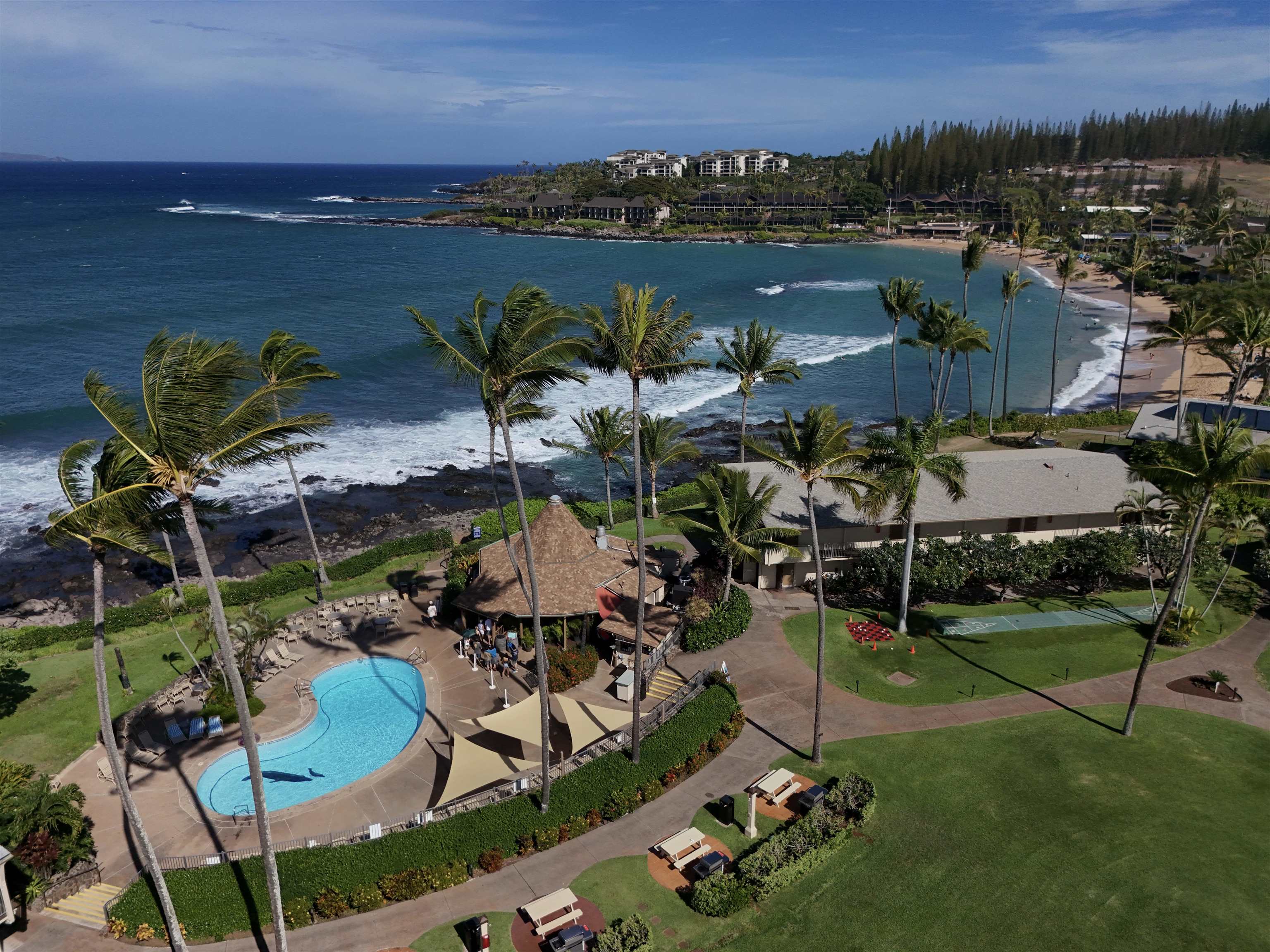 Napili Shores condo # D232, Lahaina, Hawaii - photo 8 of 31