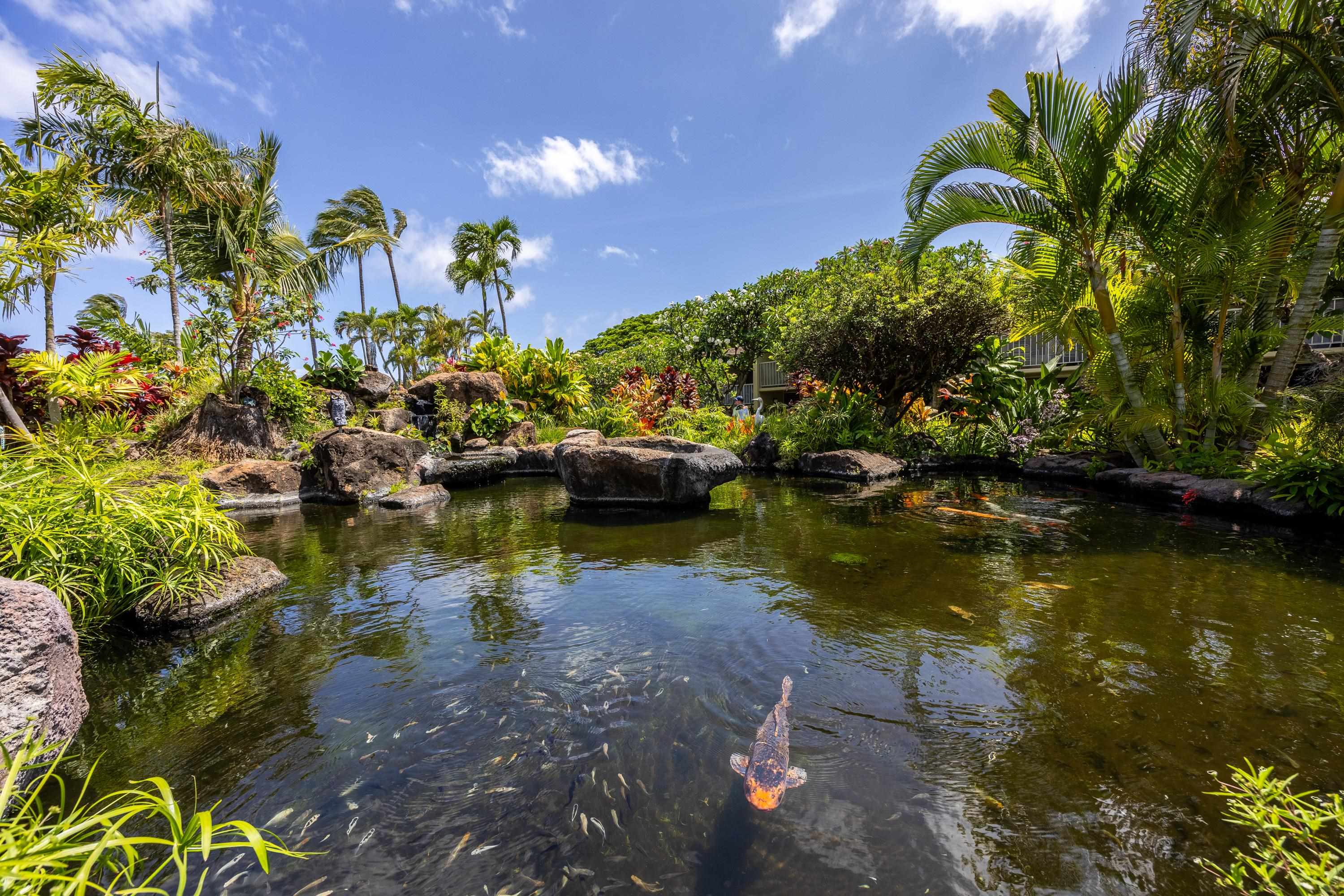 Napili Shores condo # E135, Lahaina, Hawaii - photo 20 of 22