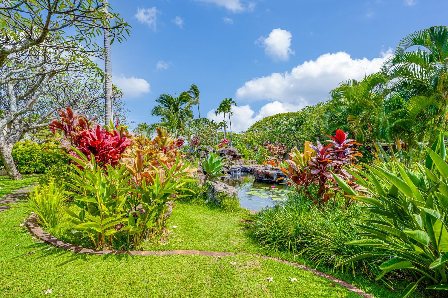 Napili Shores condo # E138, Lahaina, Hawaii - photo 16 of 50