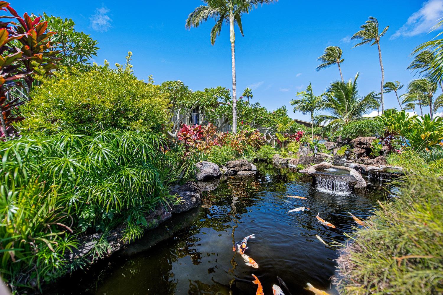Napili Shores condo # E138, Lahaina, Hawaii - photo 17 of 50