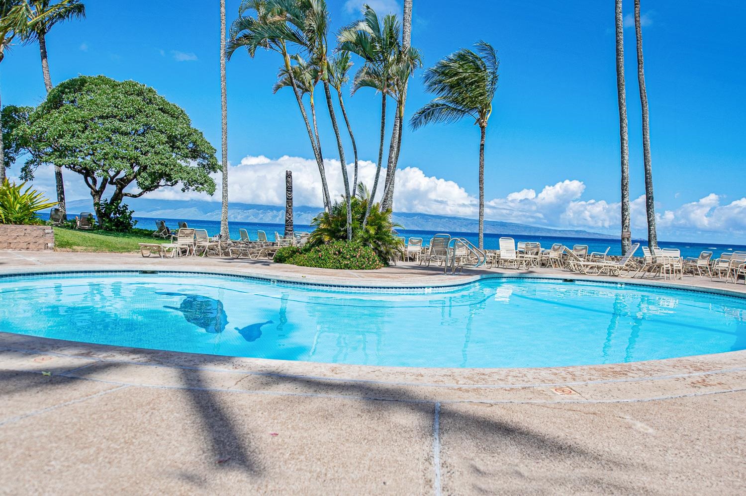 Napili Shores condo # E138, Lahaina, Hawaii - photo 36 of 50