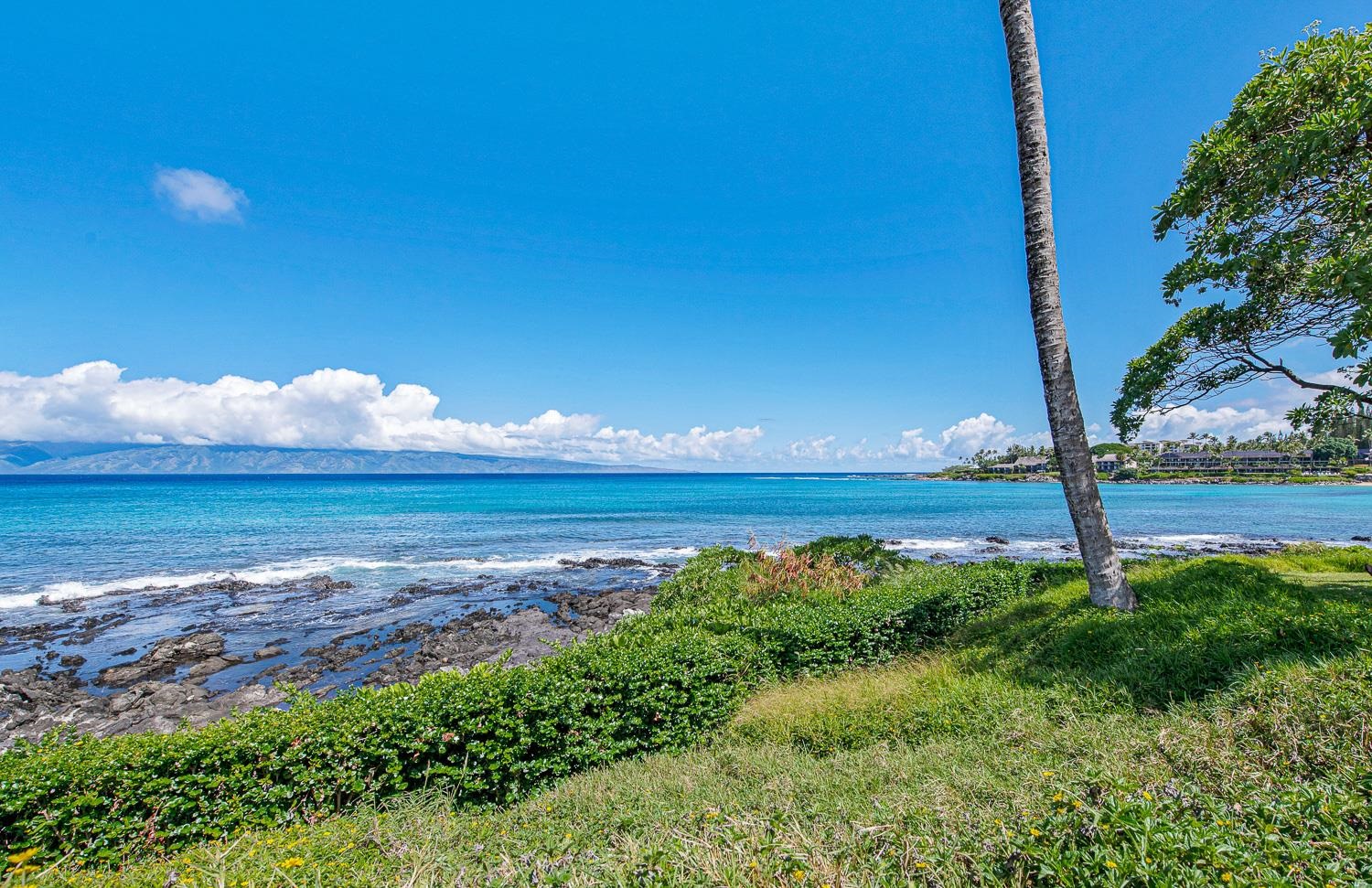 Napili Shores condo # E138, Lahaina, Hawaii - photo 37 of 50