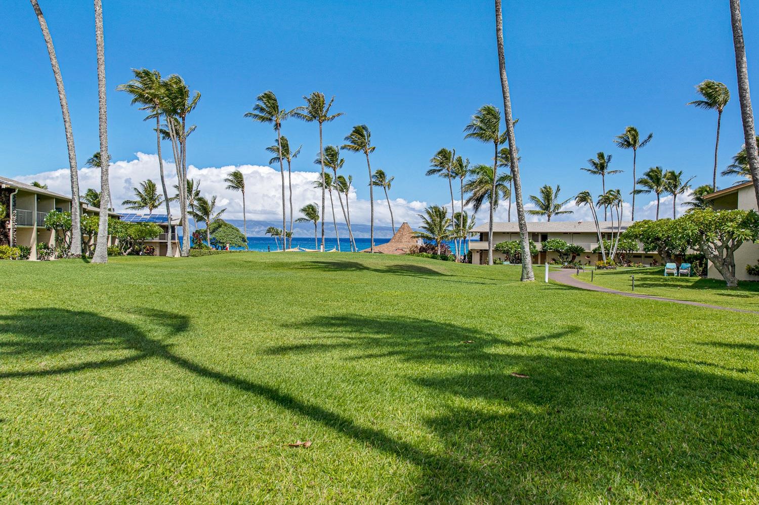 Napili Shores condo # E138, Lahaina, Hawaii - photo 38 of 50