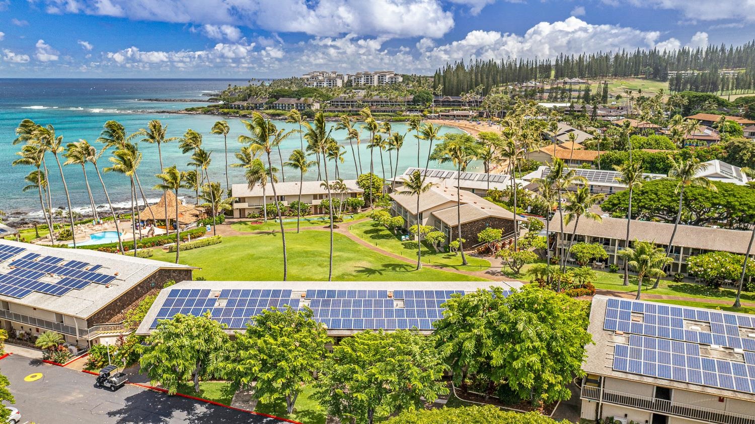 Napili Shores condo # E138, Lahaina, Hawaii - photo 44 of 50