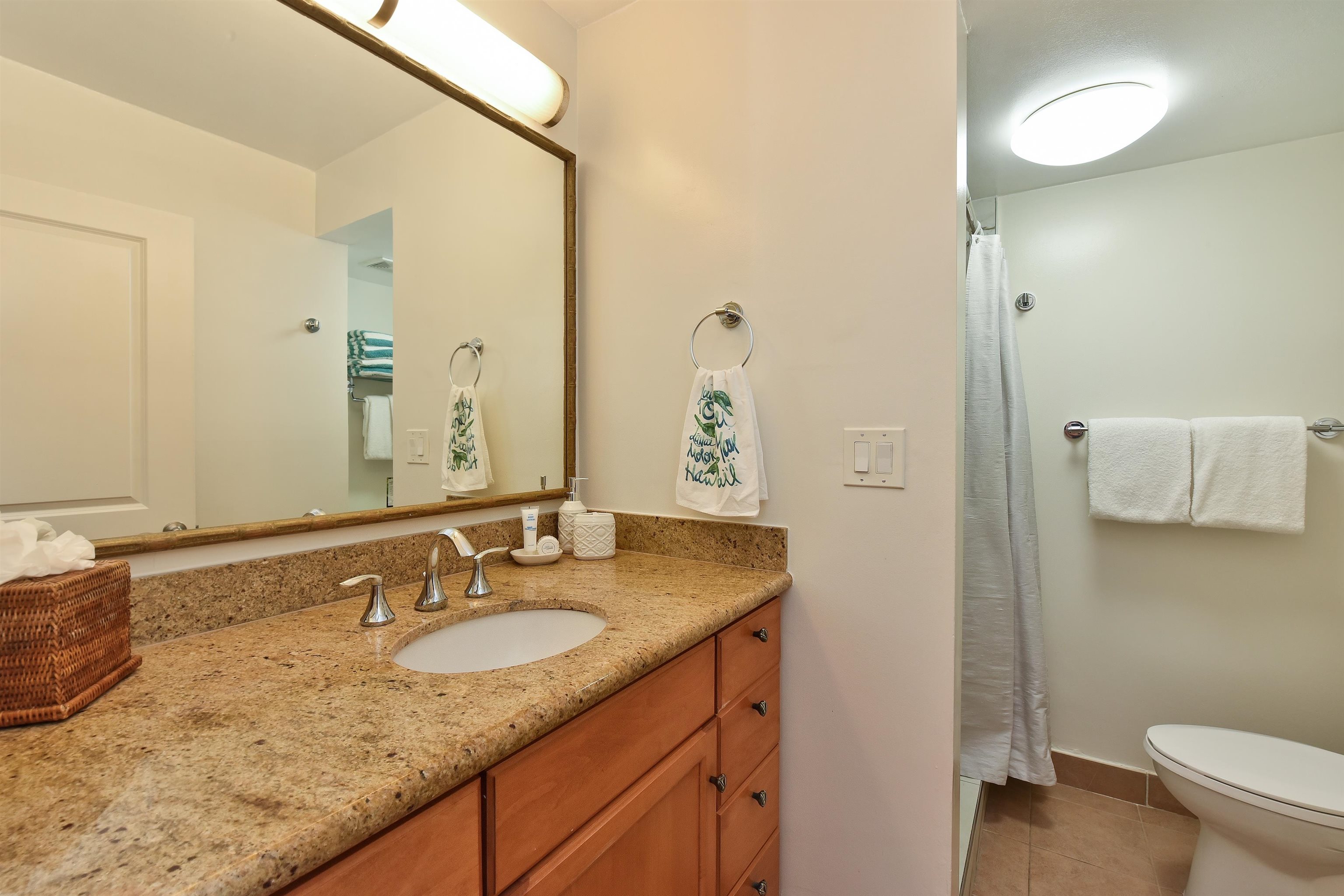 Napili Shores condo # E-139, Lahaina, Hawaii - photo 19 of 36