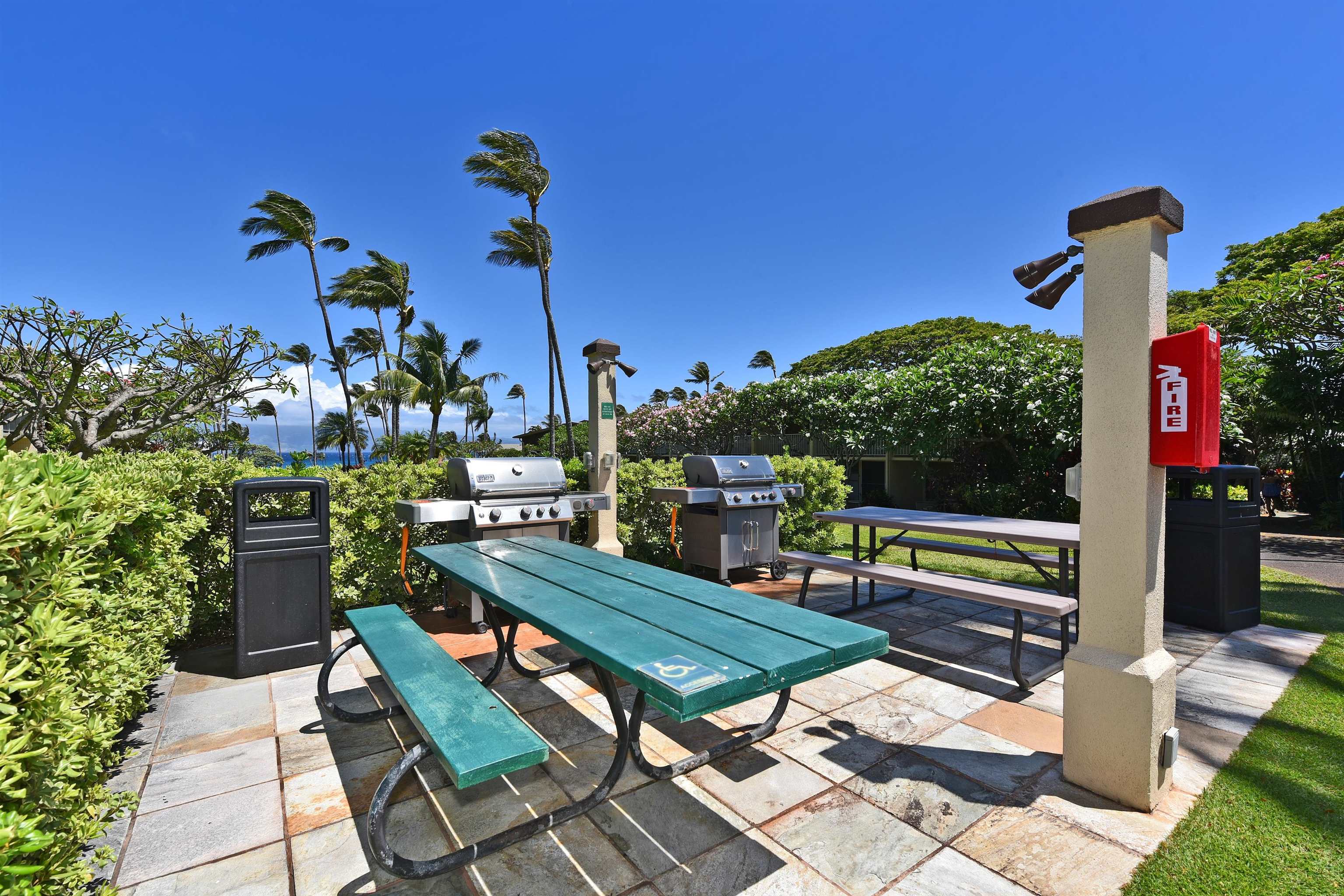 Napili Shores condo # E-139, Lahaina, Hawaii - photo 28 of 36