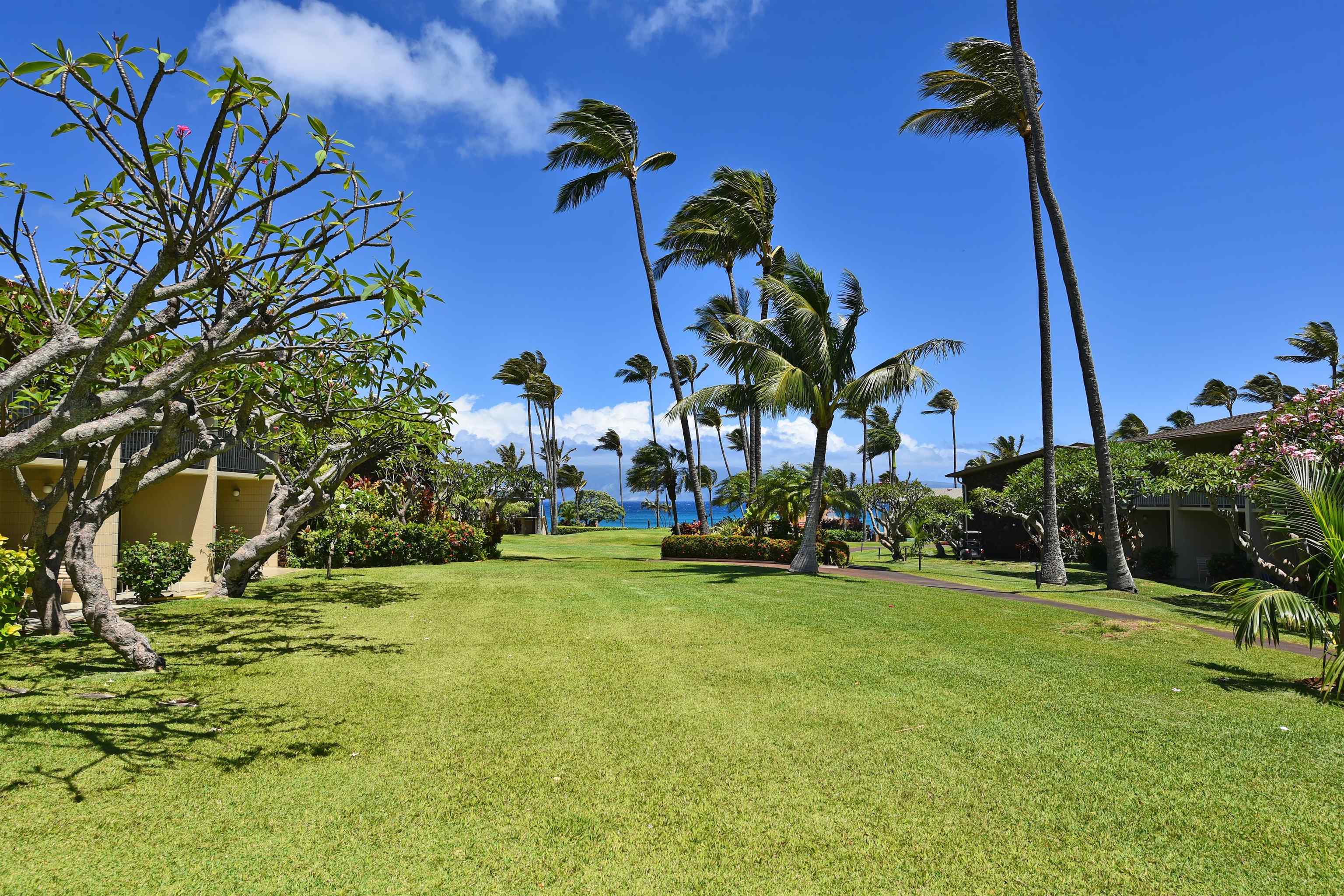 Napili Shores condo # E-139, Lahaina, Hawaii - photo 29 of 36