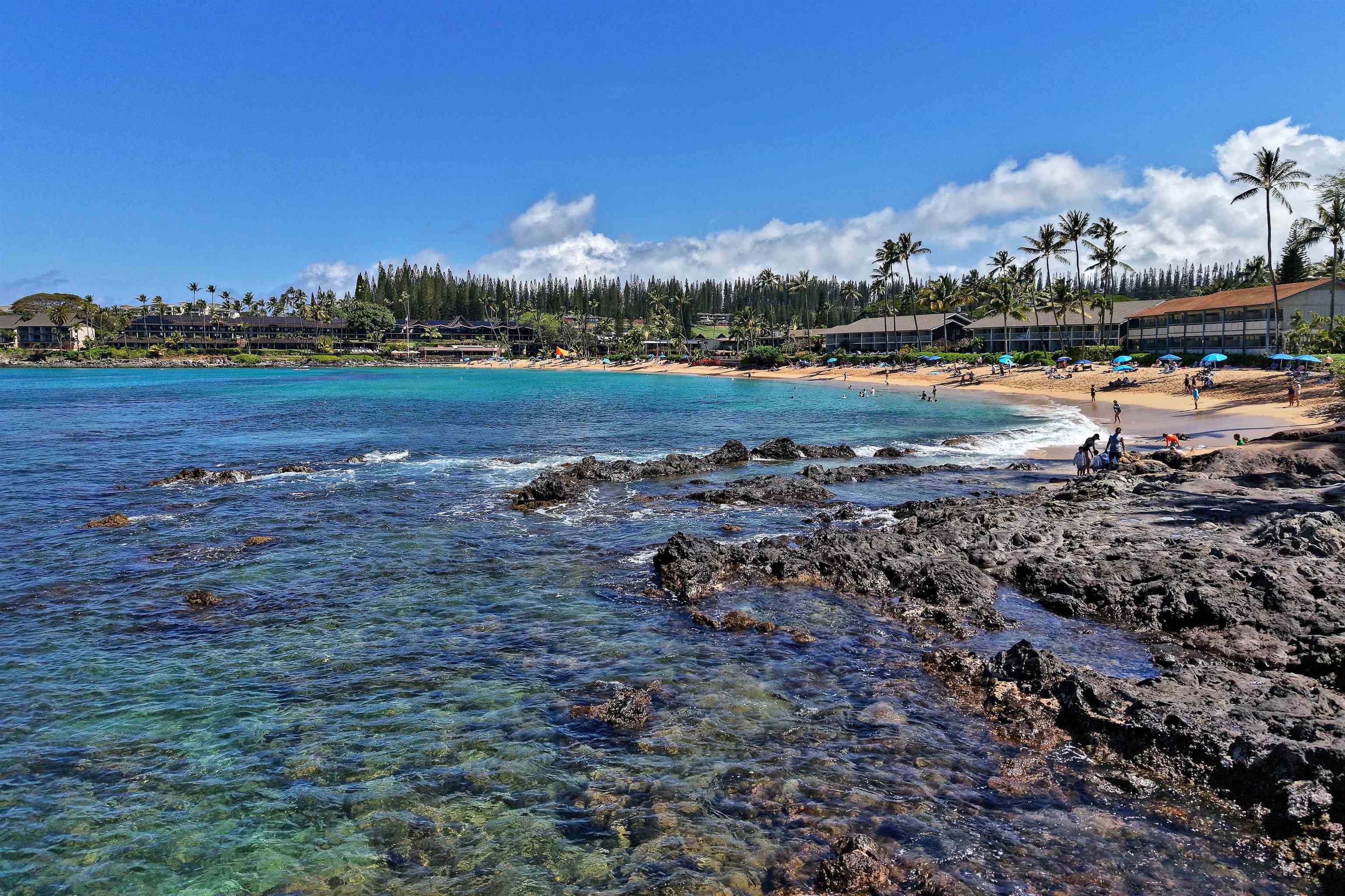 Napili Shores condo # E-139, Lahaina, Hawaii - photo 33 of 36