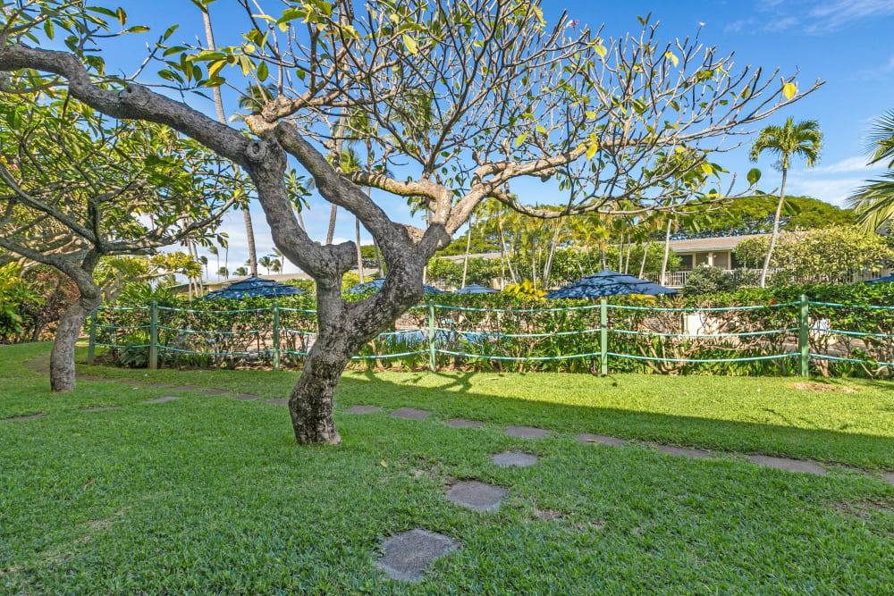 Napili Shores condo # E-141, Lahaina, Hawaii - photo 18 of 21