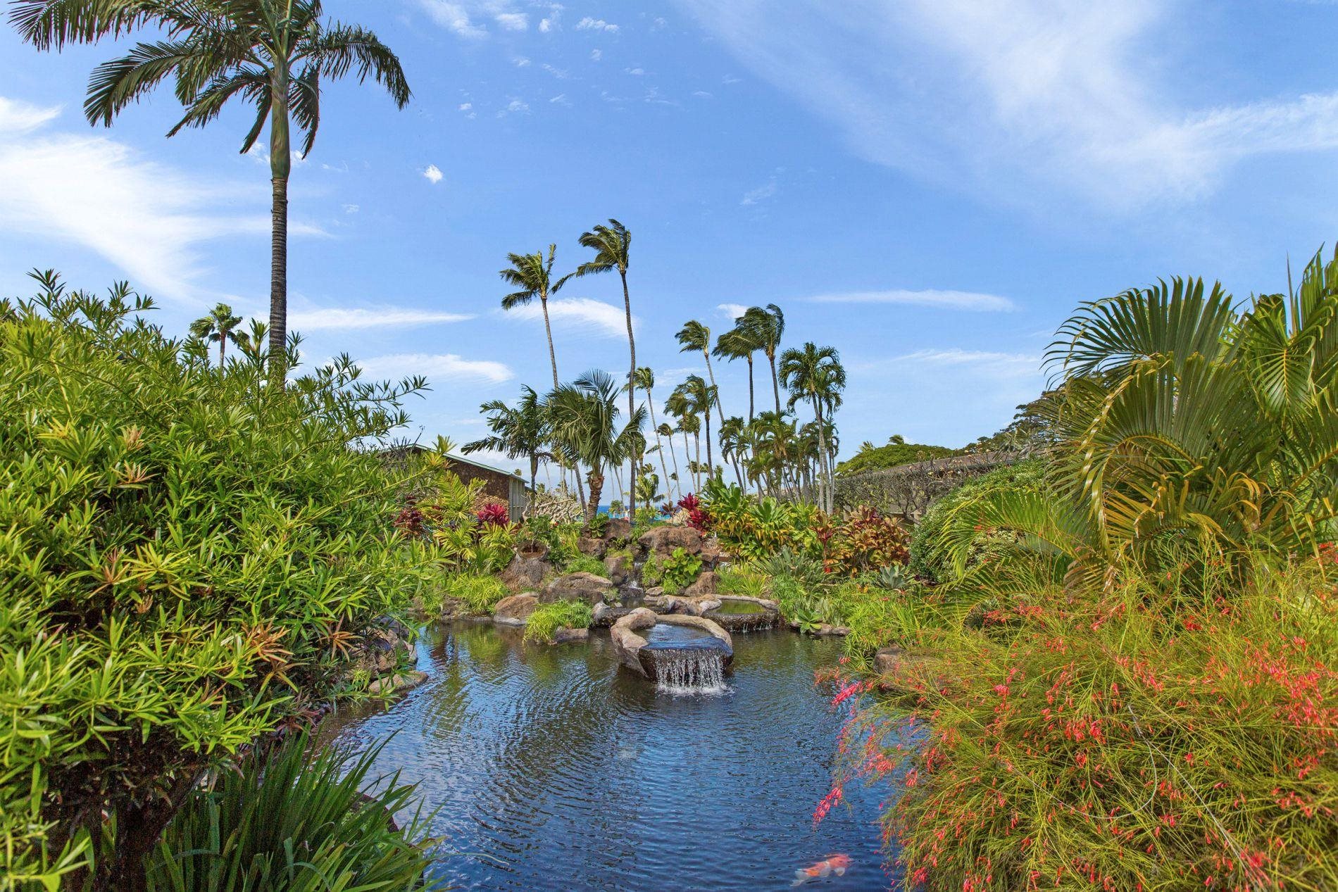 Napili Shores condo # E144, Lahaina, Hawaii - photo 31 of 43