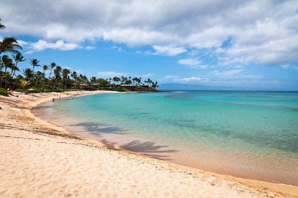 Napili Shores condo # E144, Lahaina, Hawaii - photo 43 of 43