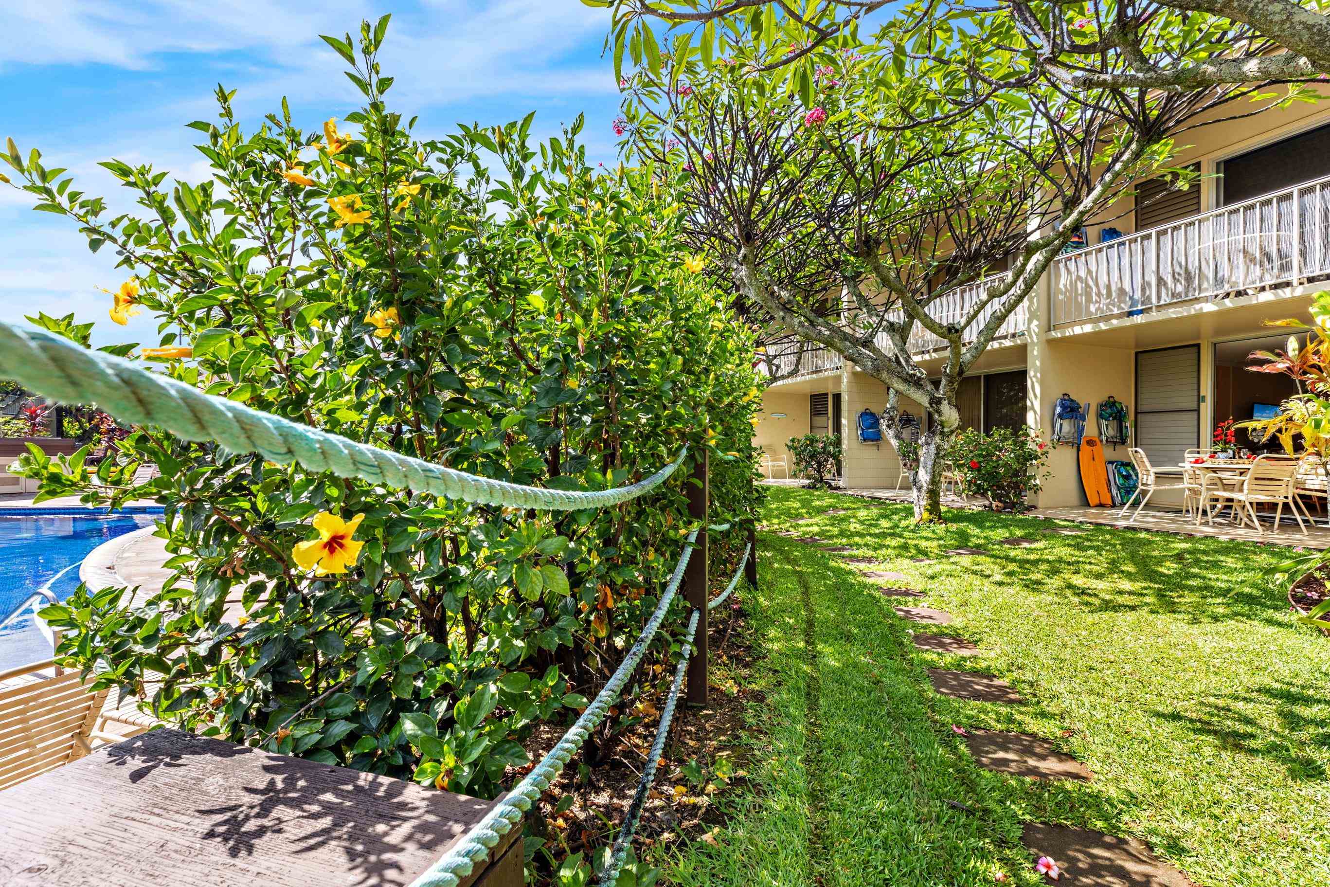 Napili Shores condo # E144, Lahaina, Hawaii - photo 6 of 43