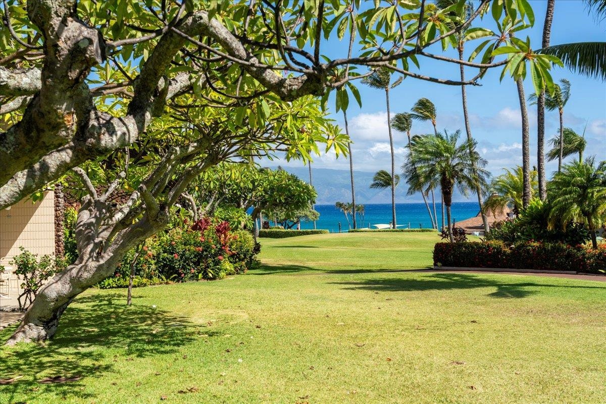 Napili Shores condo # E144, Lahaina, Hawaii - photo 2 of 50