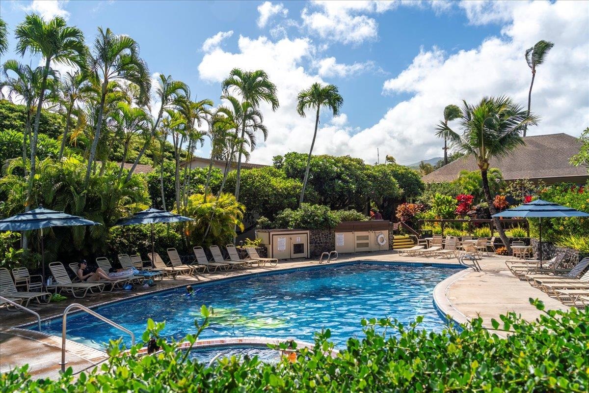 Napili Shores condo # E144, Lahaina, Hawaii - photo 35 of 50
