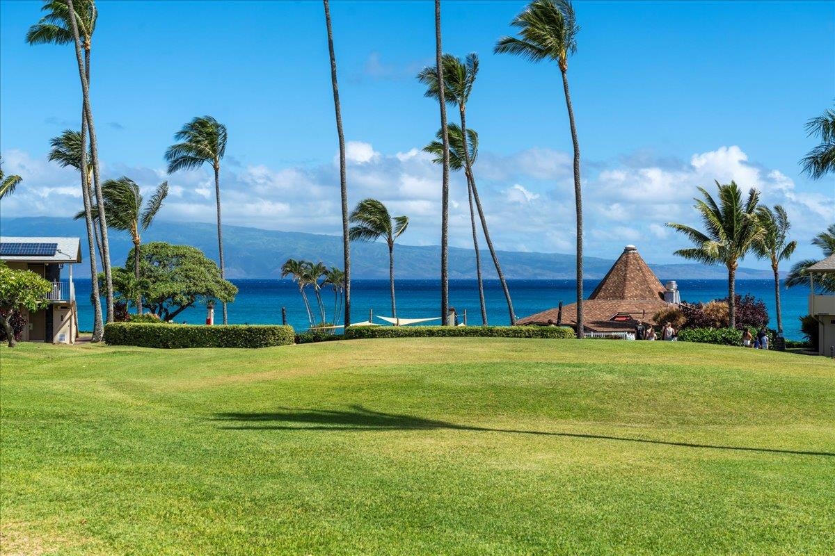 Napili Shores condo # E144, Lahaina, Hawaii - photo 39 of 50
