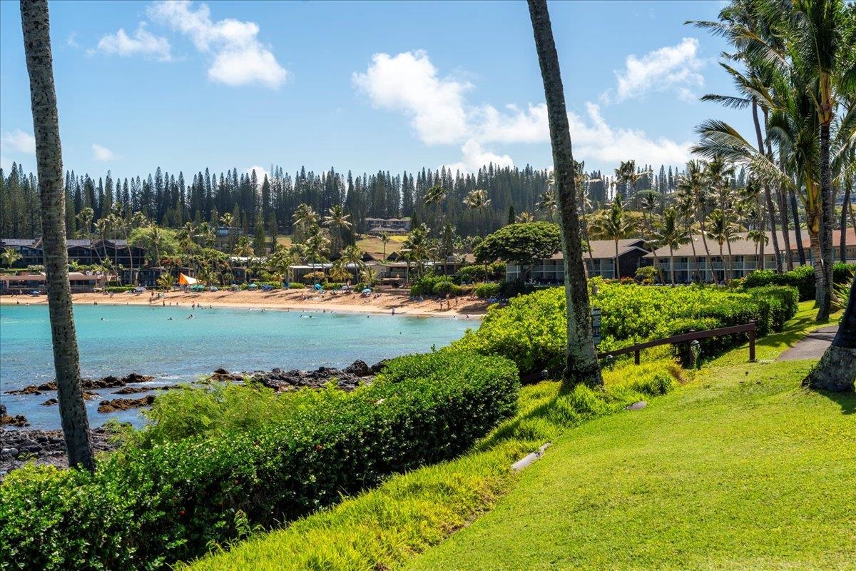 Napili Shores condo # E144, Lahaina, Hawaii - photo 45 of 50