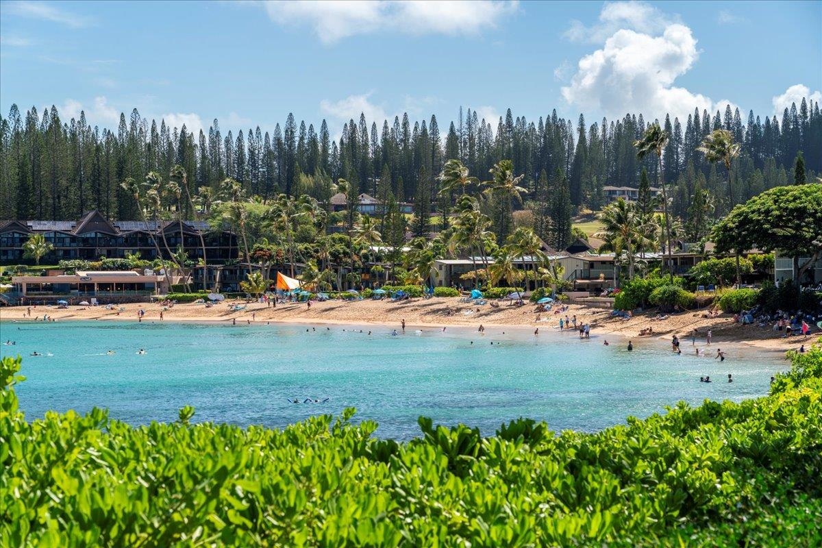 Napili Shores condo # E144, Lahaina, Hawaii - photo 49 of 50