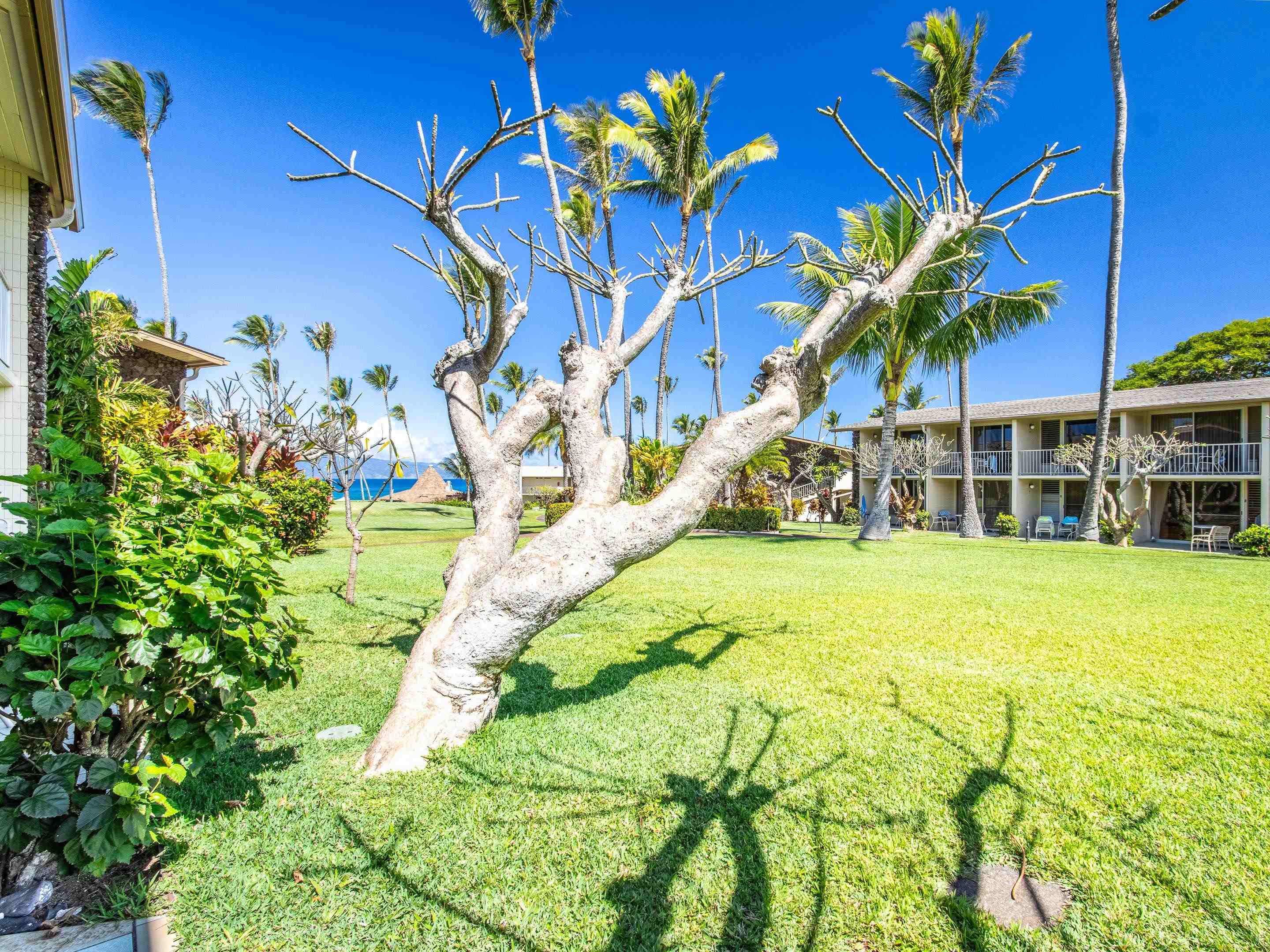 Napili Shores F150, 5315 Lower Honoapiilani Rd, Lahaina Napili