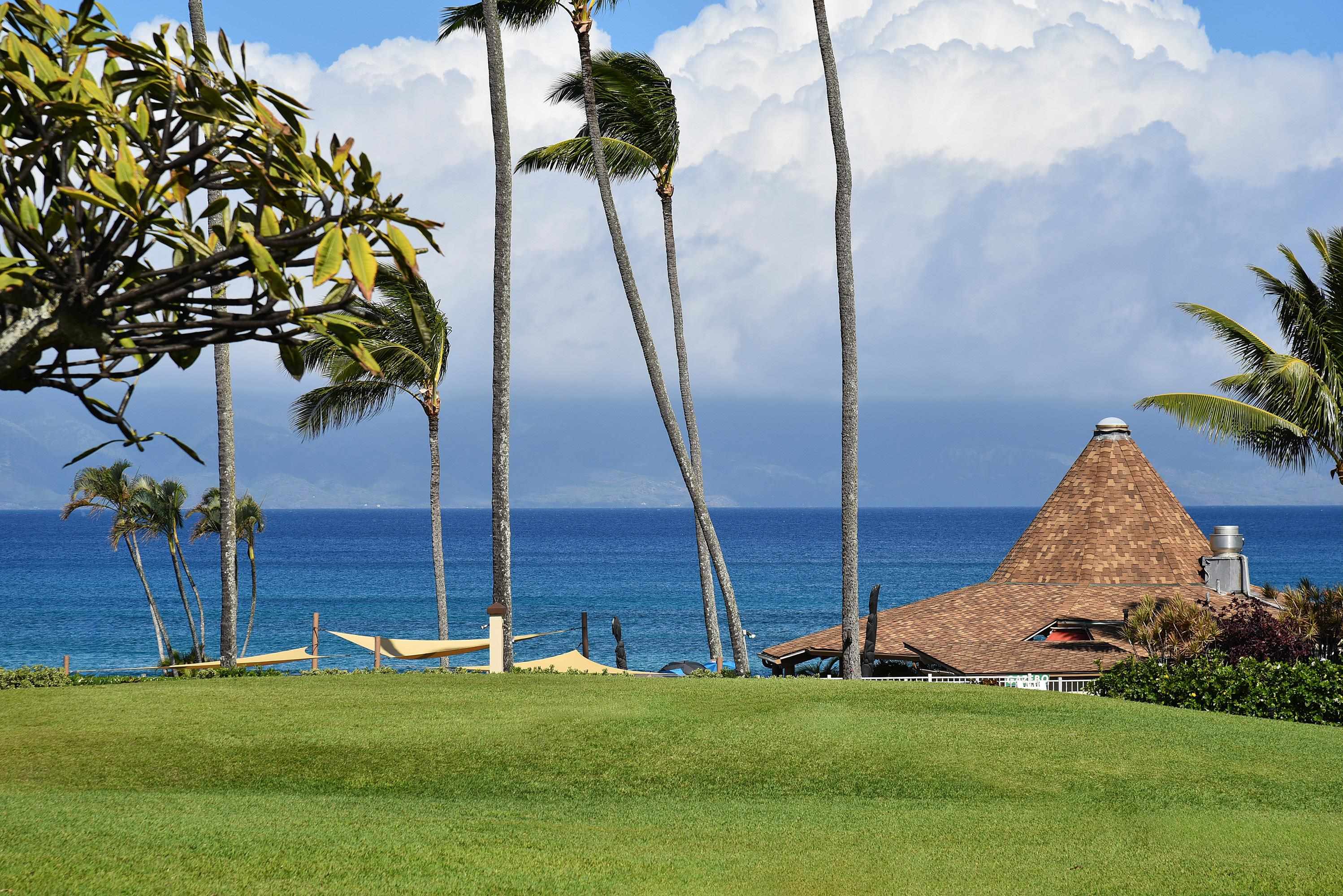 Napili Shores condo # F151, Lahaina, Hawaii - photo 44 of 50