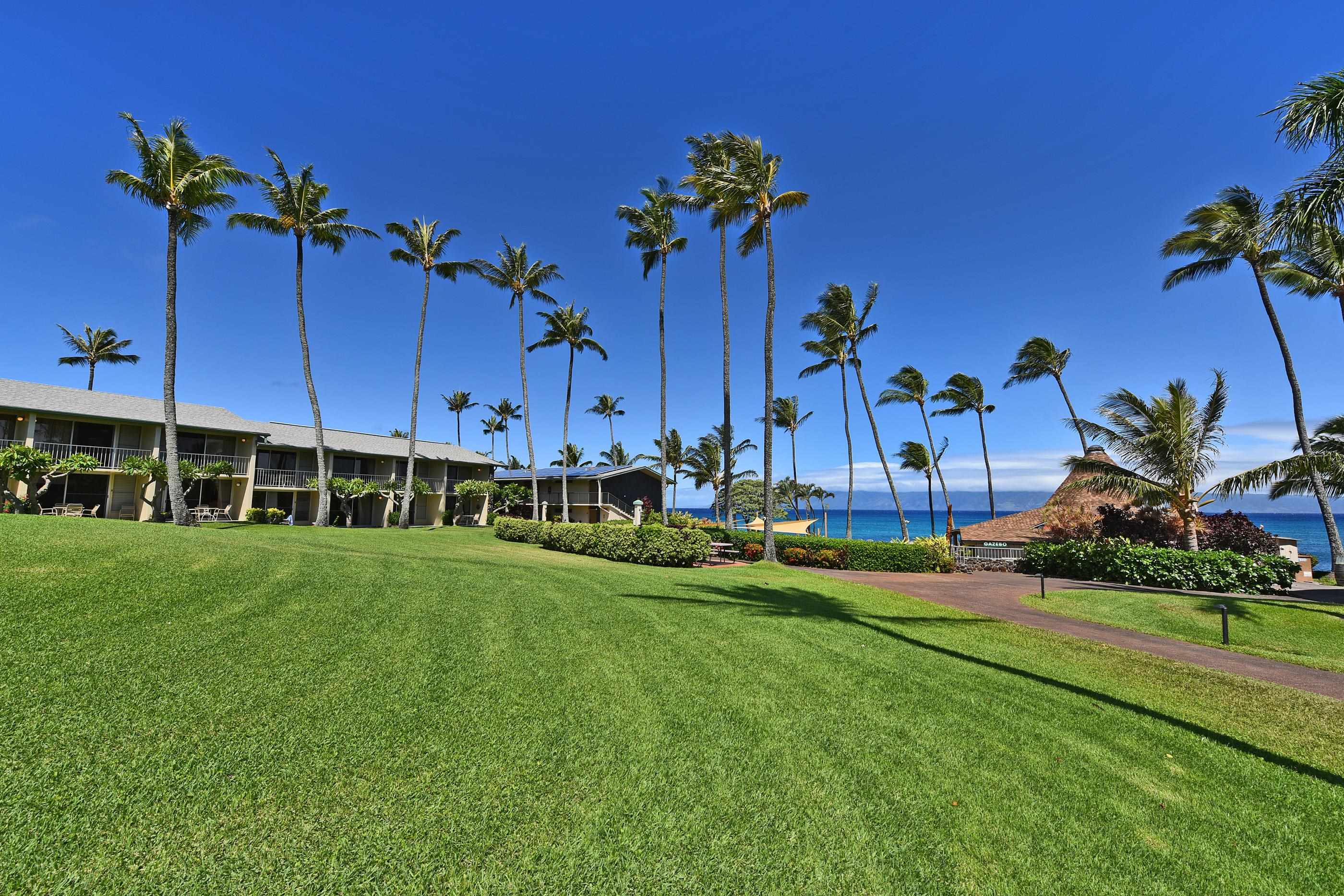Napili Shores condo # F151, Lahaina, Hawaii - photo 6 of 50