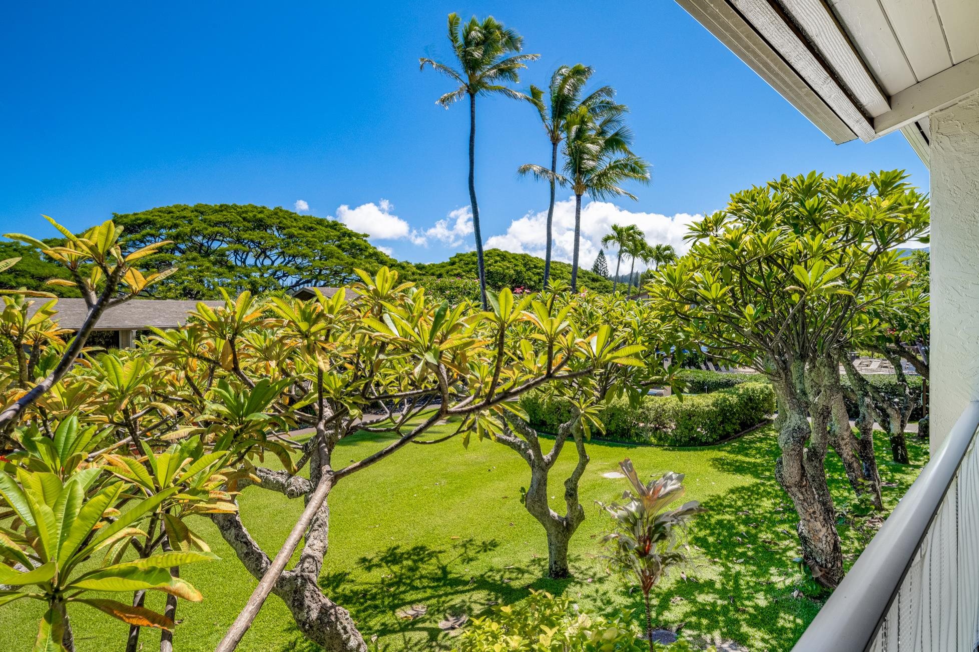 Napili Shores condo # F249, Lahaina, Hawaii - photo 12 of 33