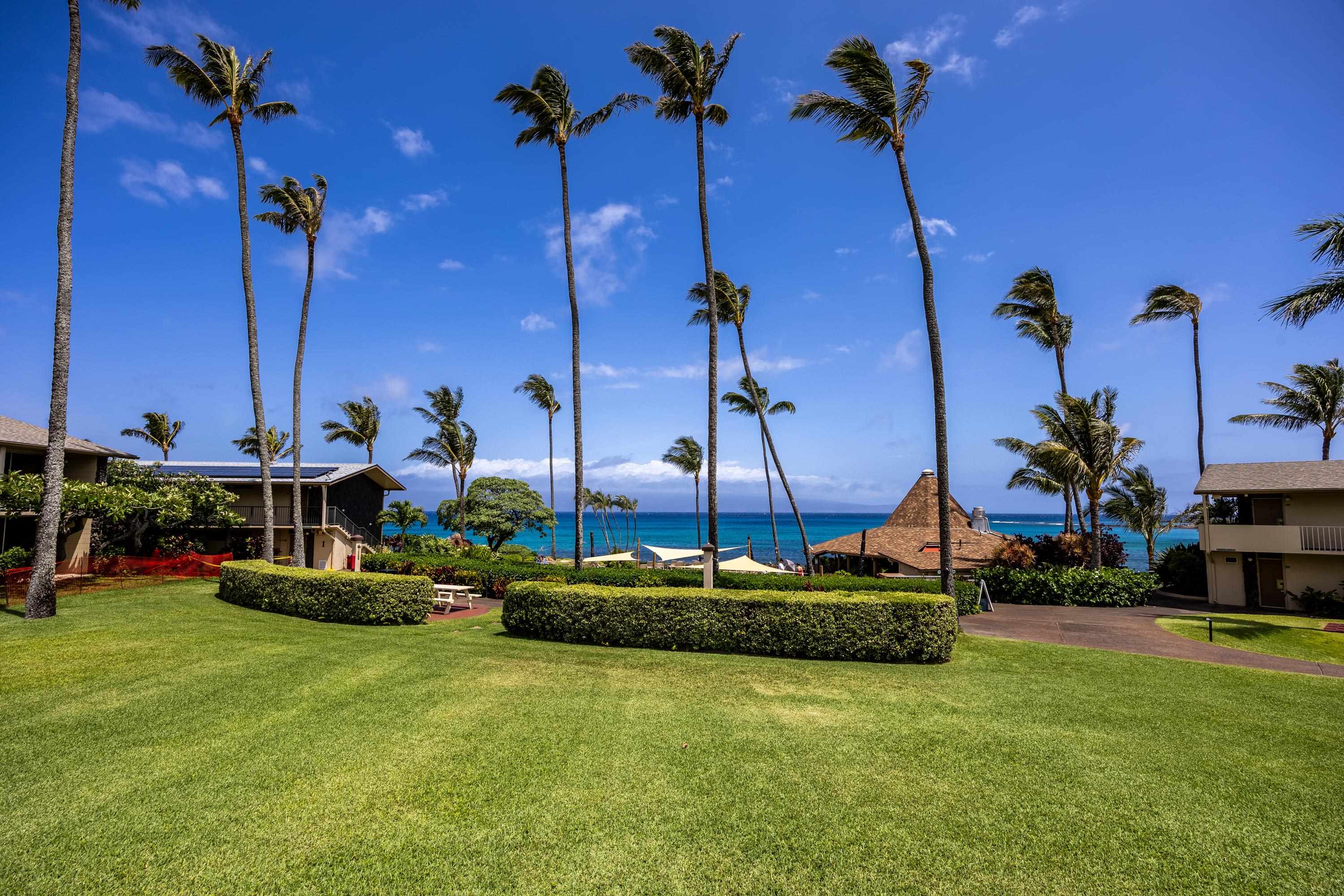 Napili Shores condo # F249, Lahaina, Hawaii - photo 28 of 33