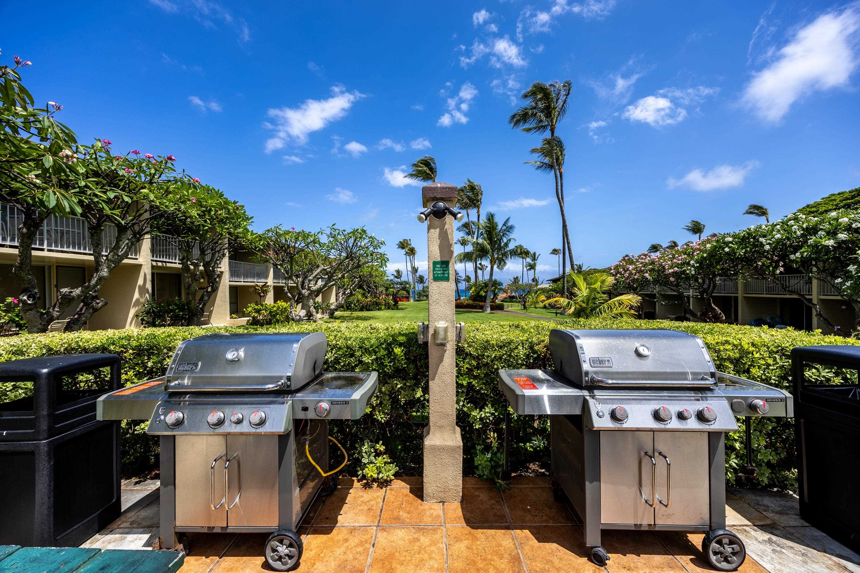 Napili Shores condo # F249, Lahaina, Hawaii - photo 30 of 33