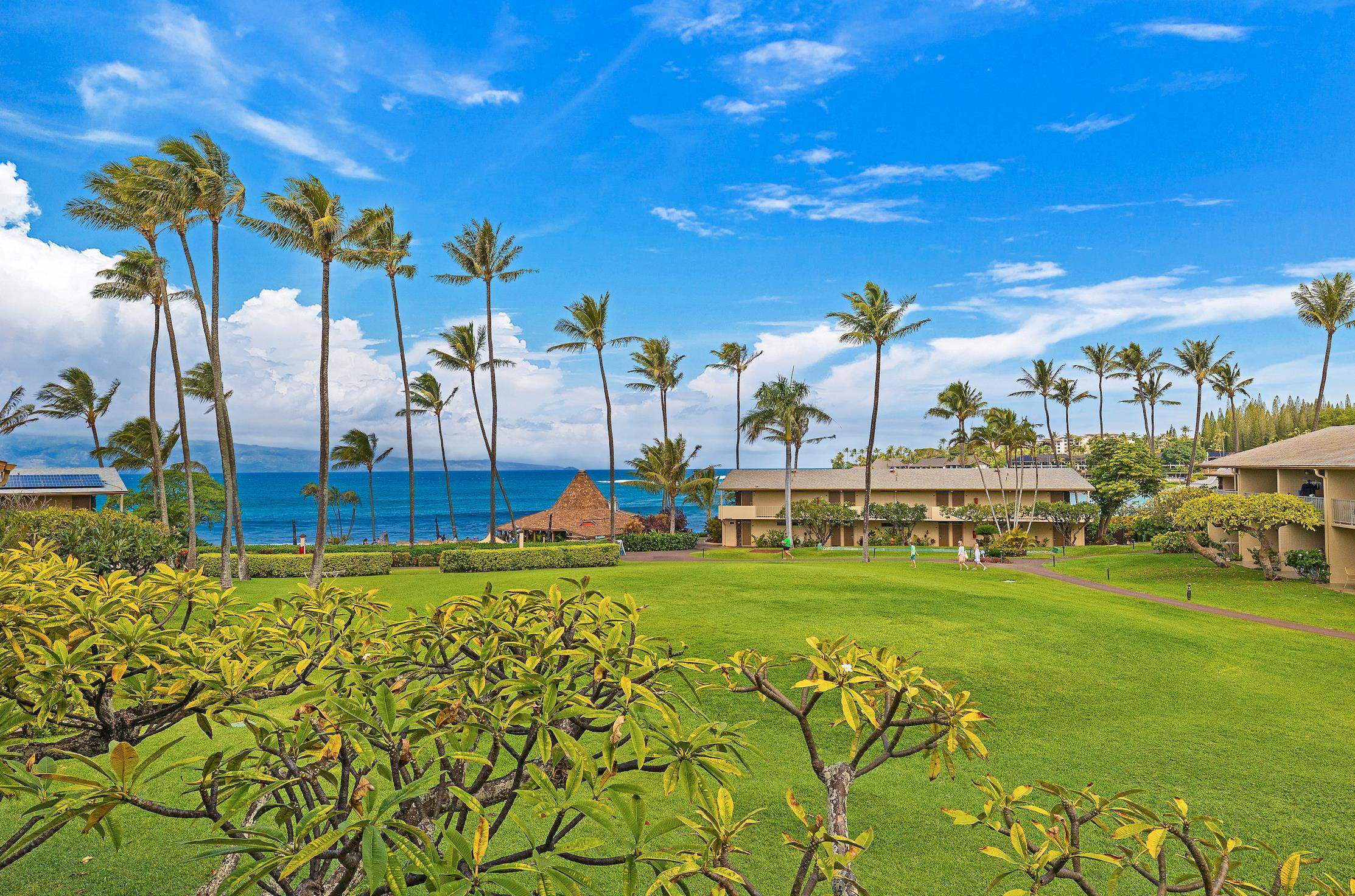 Napili Shores condo # G253, Lahaina, Hawaii - photo 2 of 41
