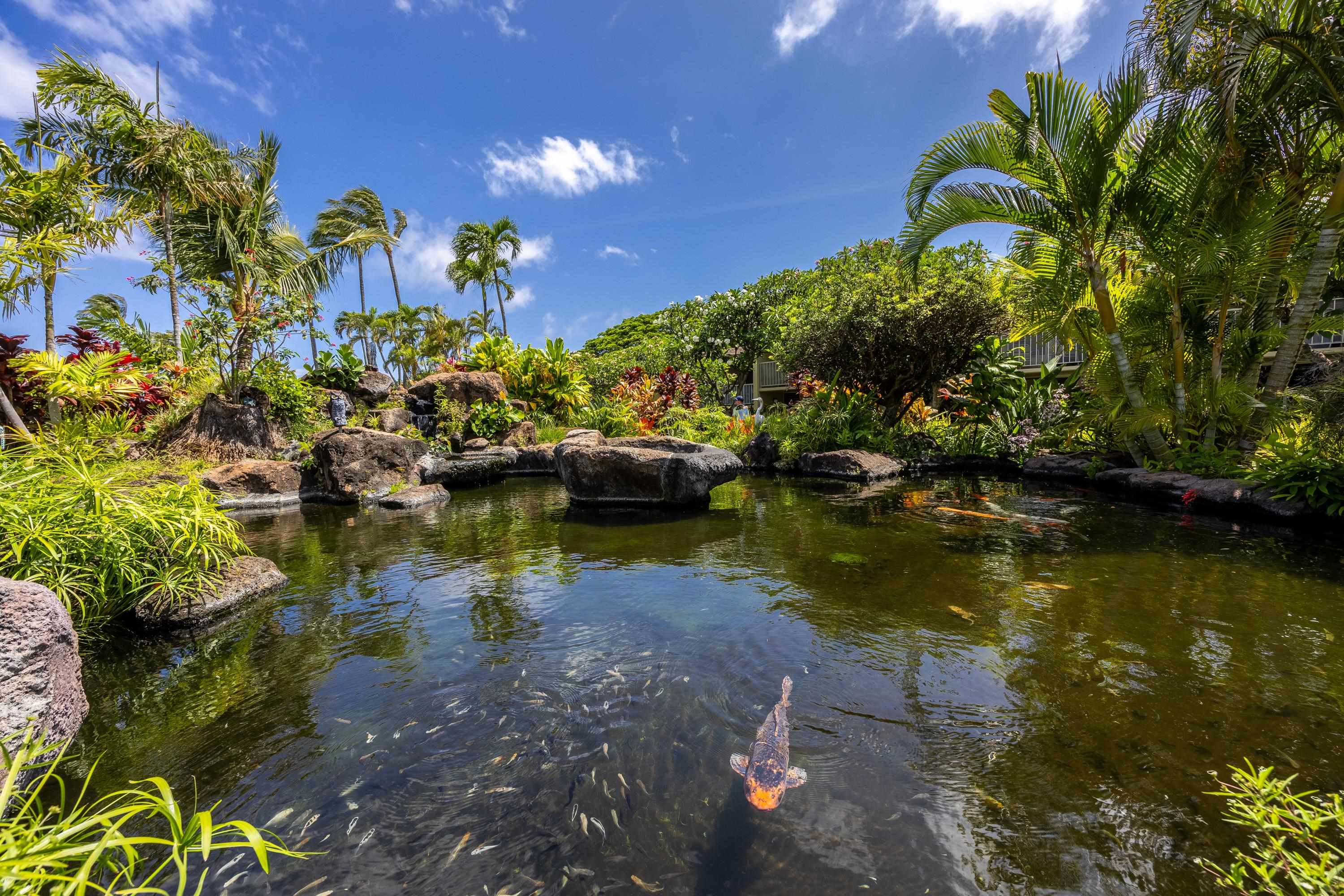 Napili Shores condo # G253, Lahaina, Hawaii - photo 25 of 41