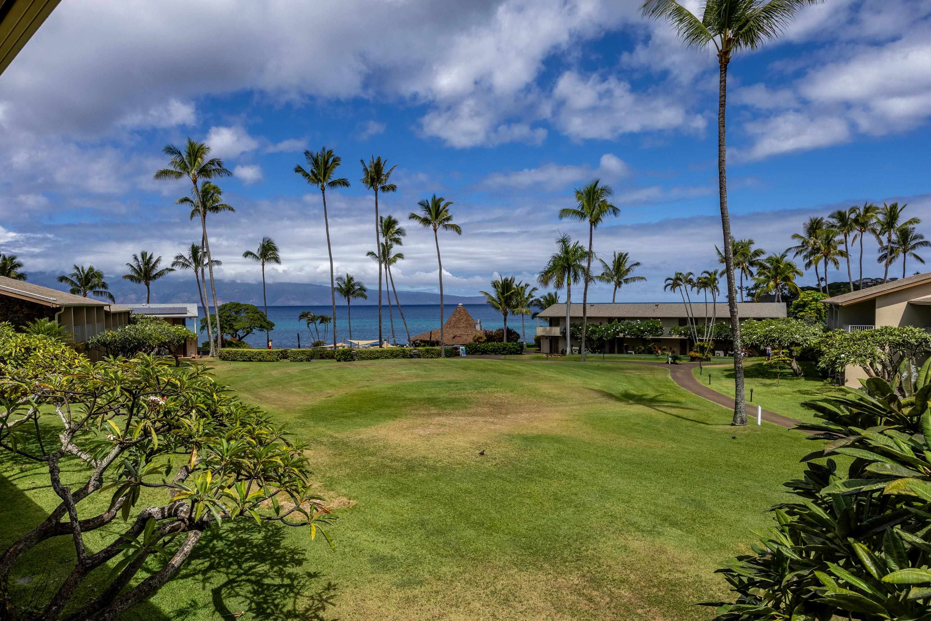 Napili Shores condo # G253, Lahaina, Hawaii - photo 31 of 41