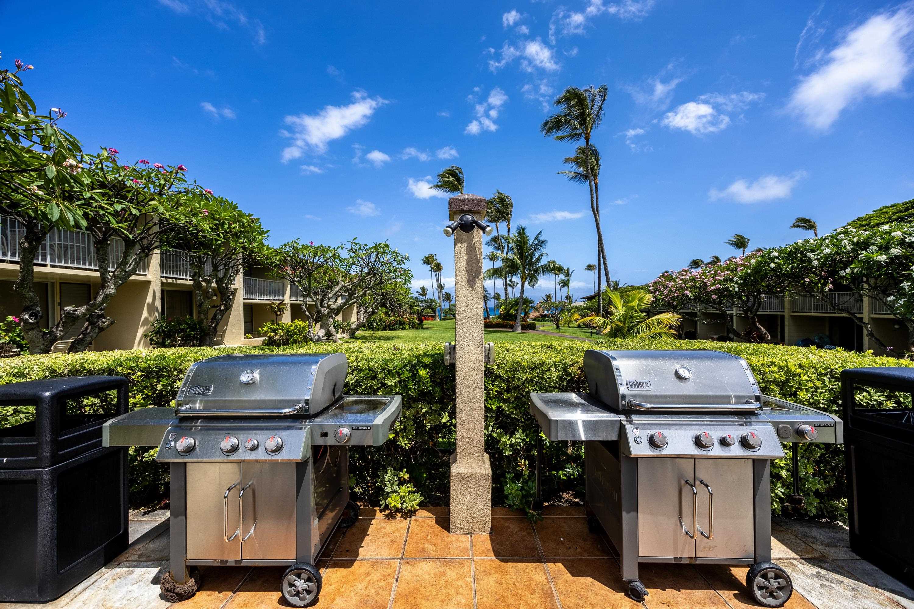 Napili Shores condo # G253, Lahaina, Hawaii - photo 34 of 41