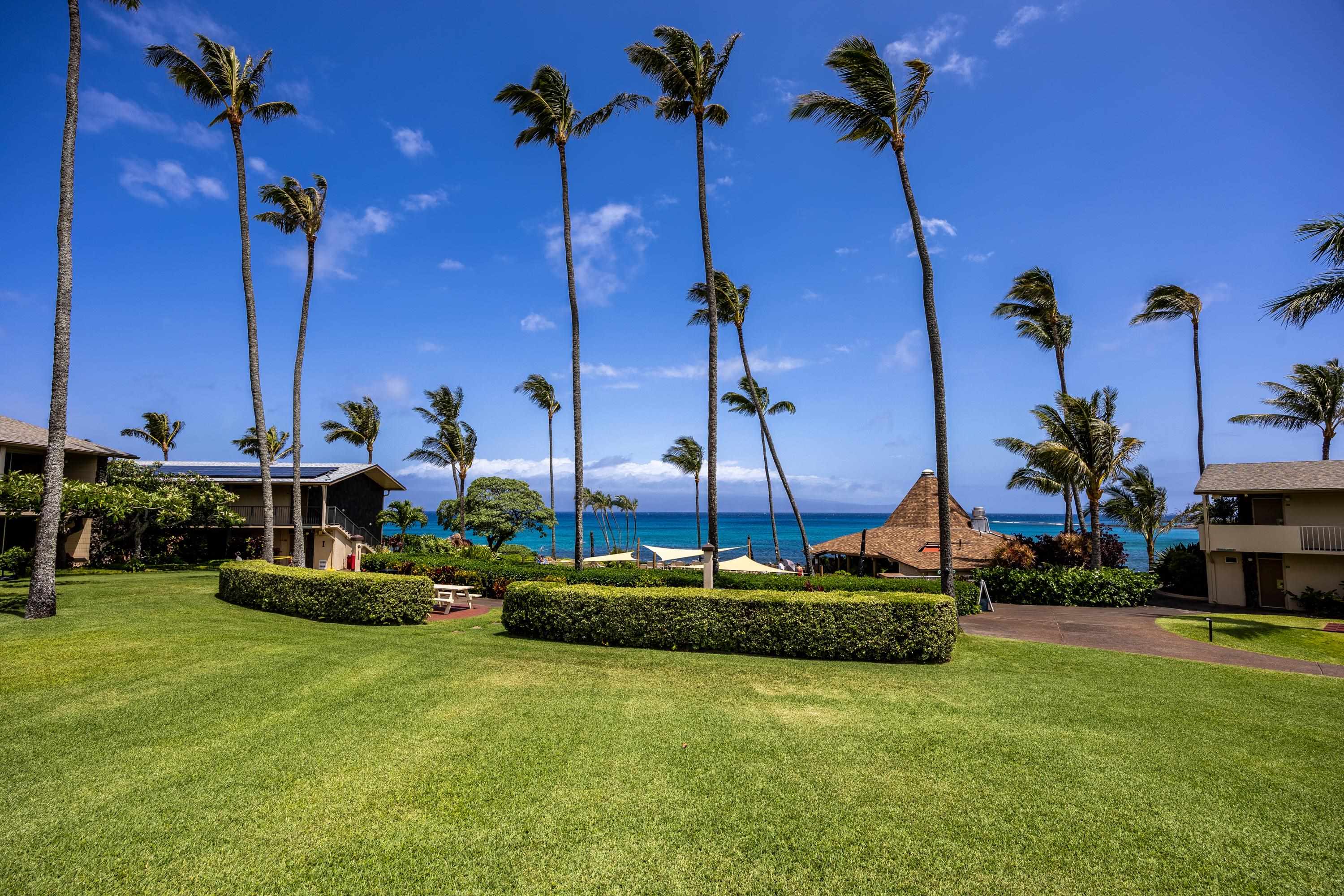 Napili Shores condo # G253, Lahaina, Hawaii - photo 35 of 41