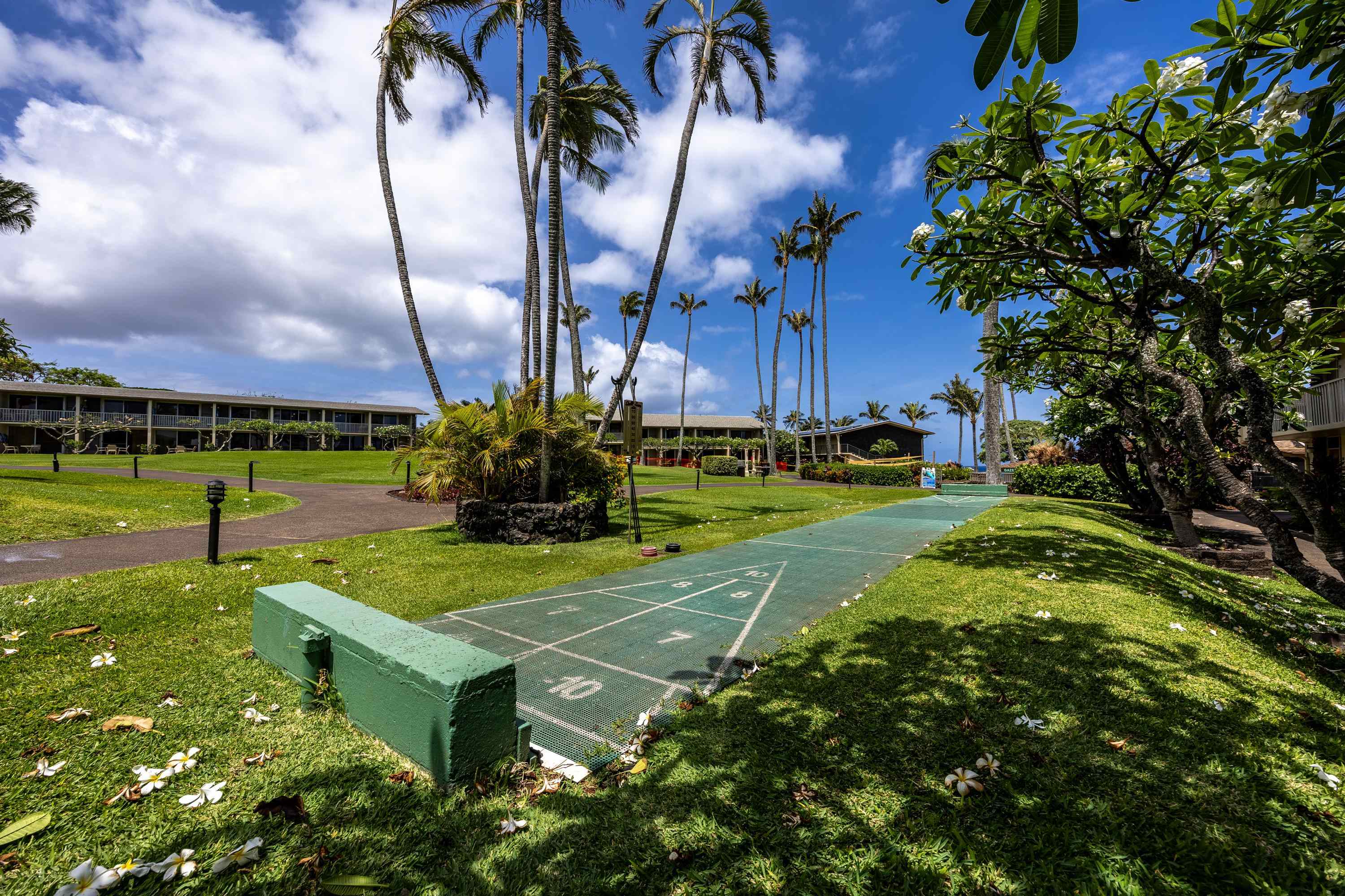 Napili Shores condo # G253, Lahaina, Hawaii - photo 36 of 41