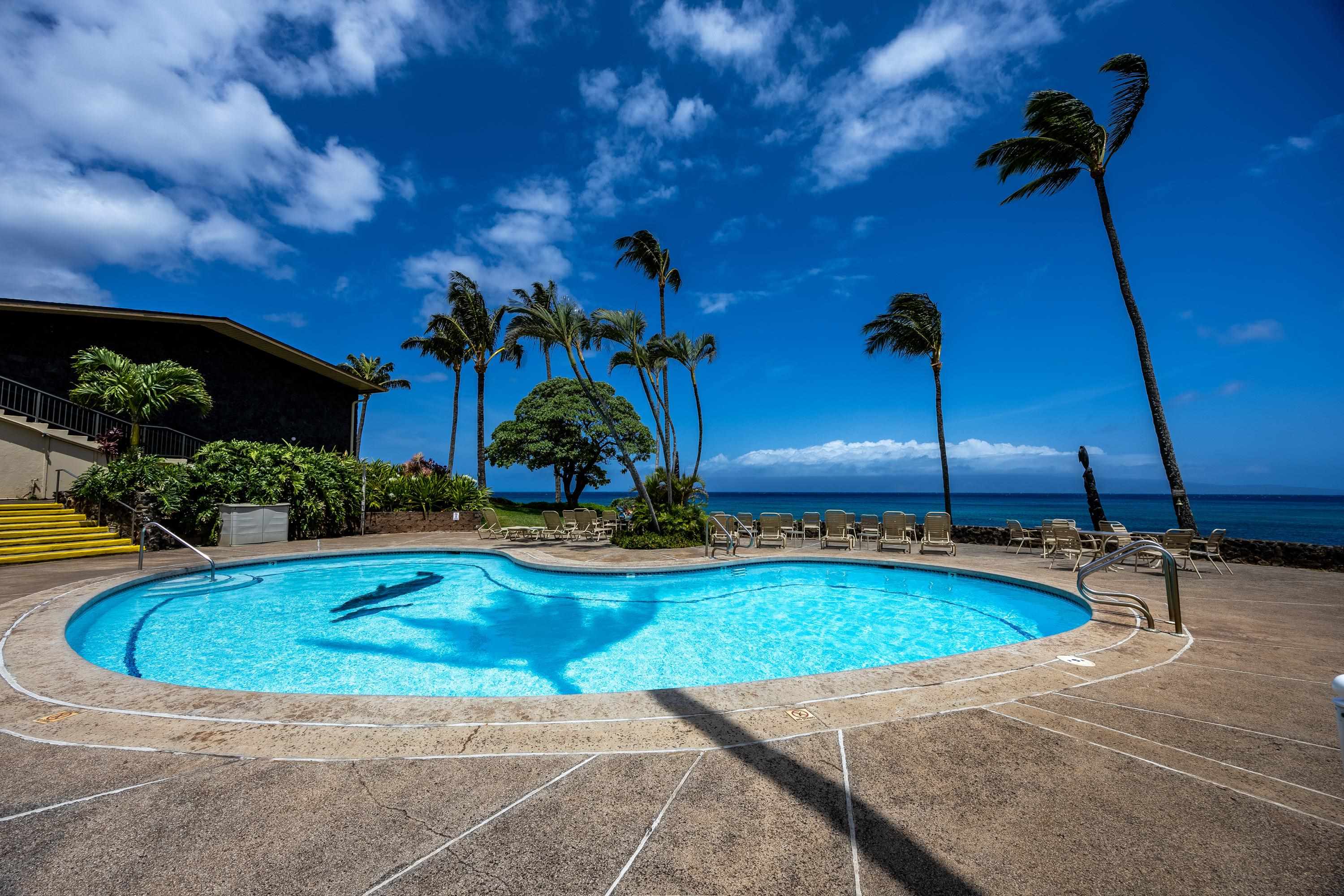Napili Shores condo # G253, Lahaina, Hawaii - photo 40 of 41