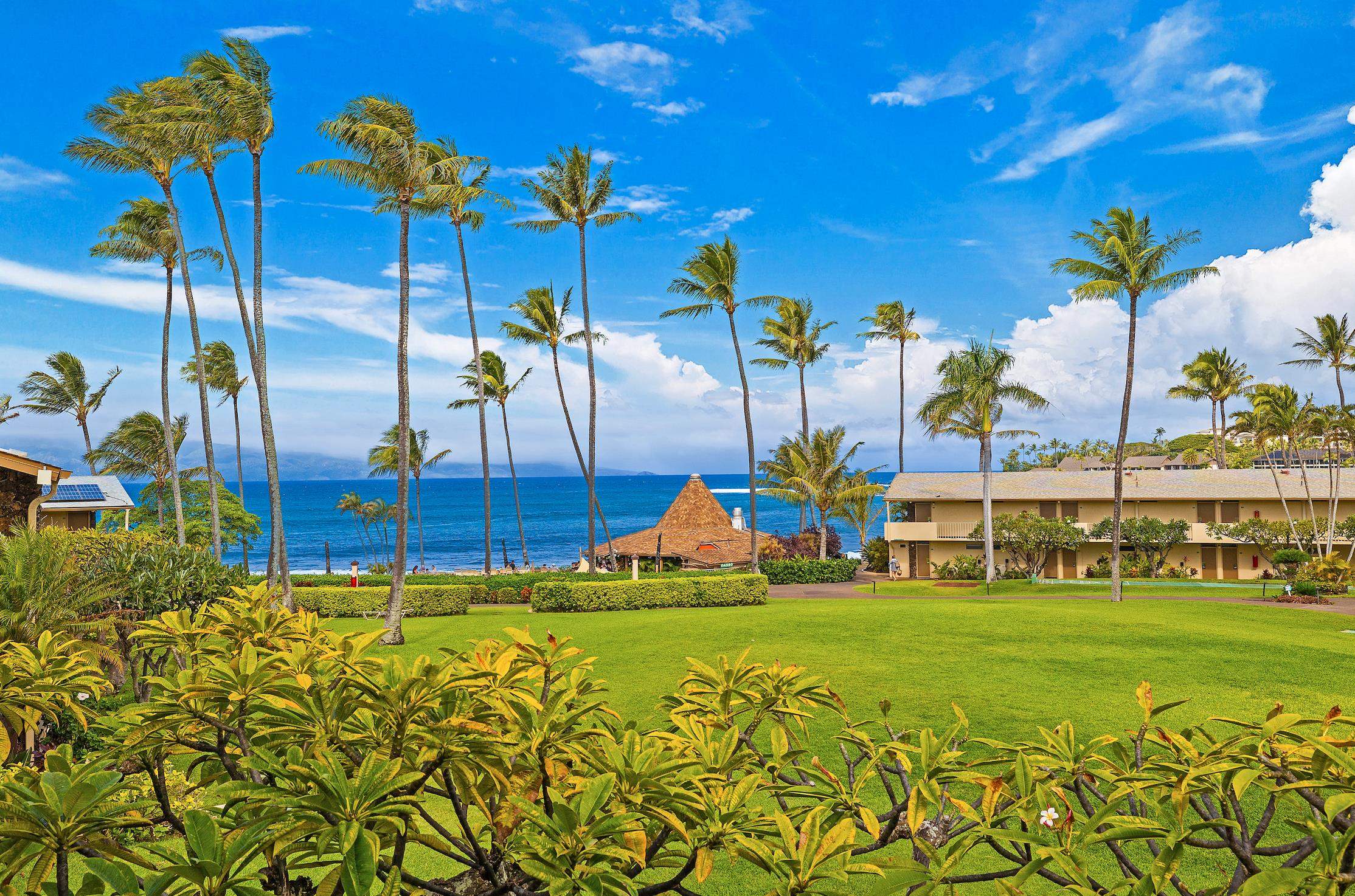 Napili Shores condo # G257, Lahaina, Hawaii - photo 15 of 19