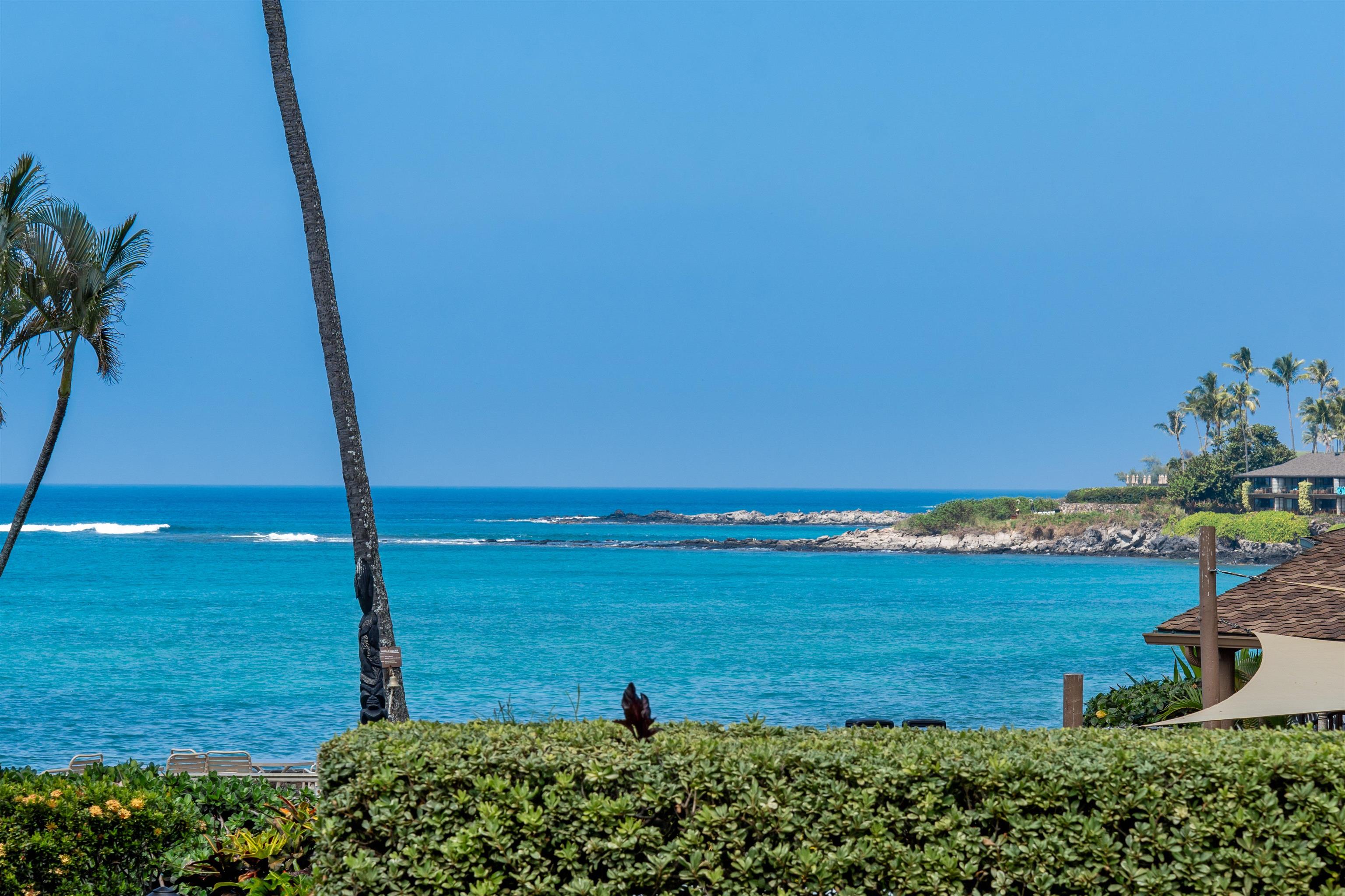 Napili Shores condo # H165, Lahaina, Hawaii - photo 23 of 43