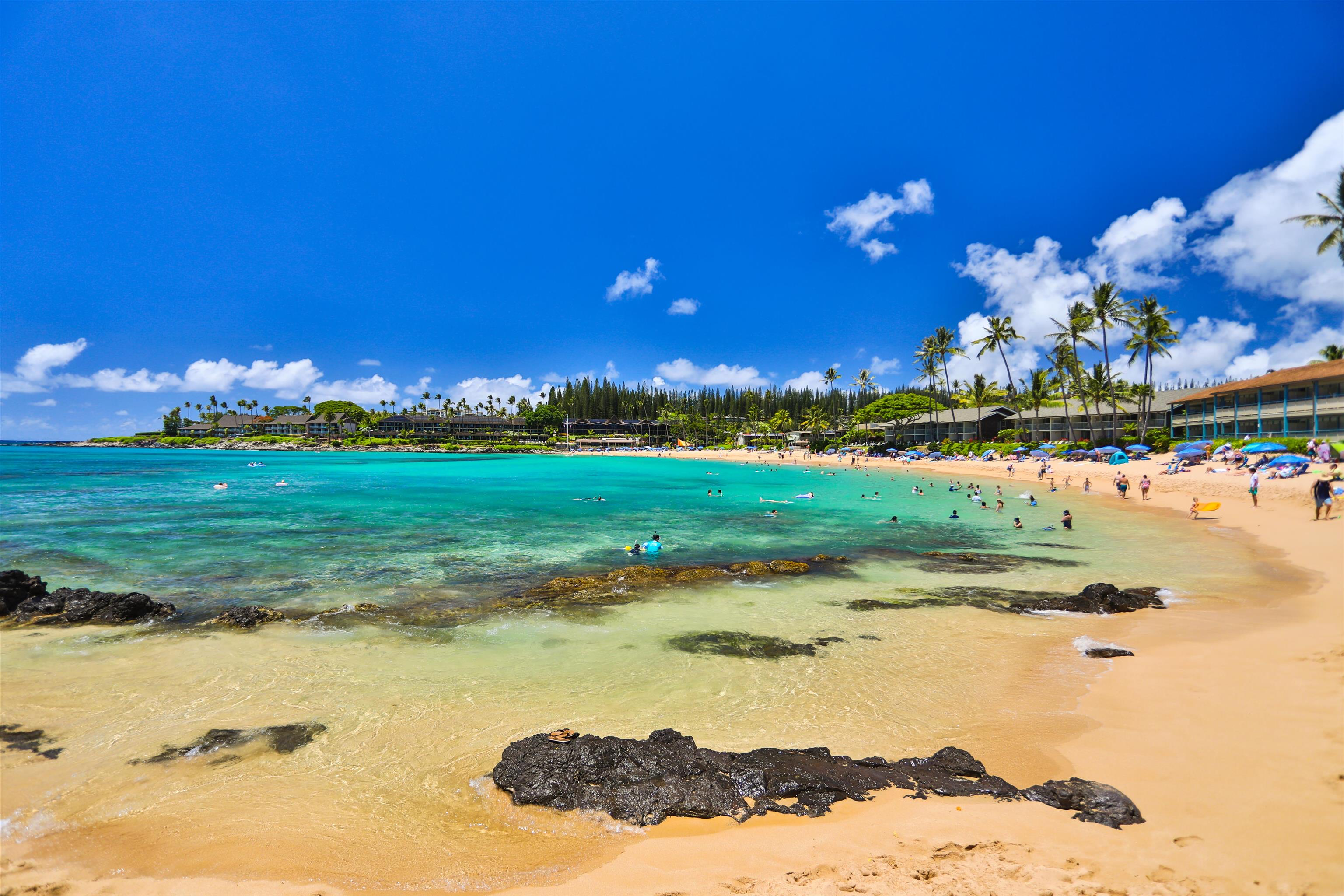 Napili Shores condo # H165, Lahaina, Hawaii - photo 24 of 43