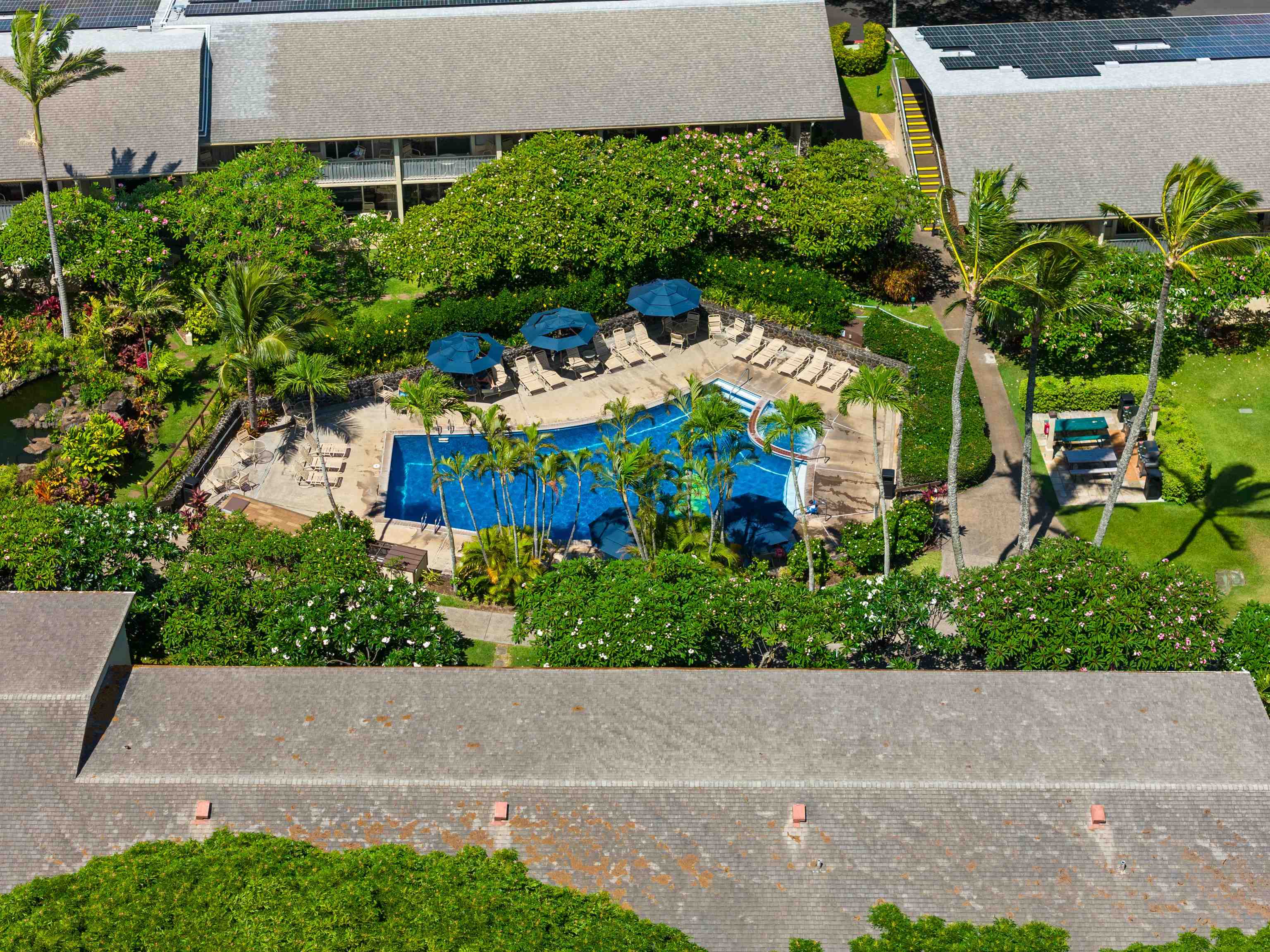 Napili Shores condo # H165, Lahaina, Hawaii - photo 34 of 43