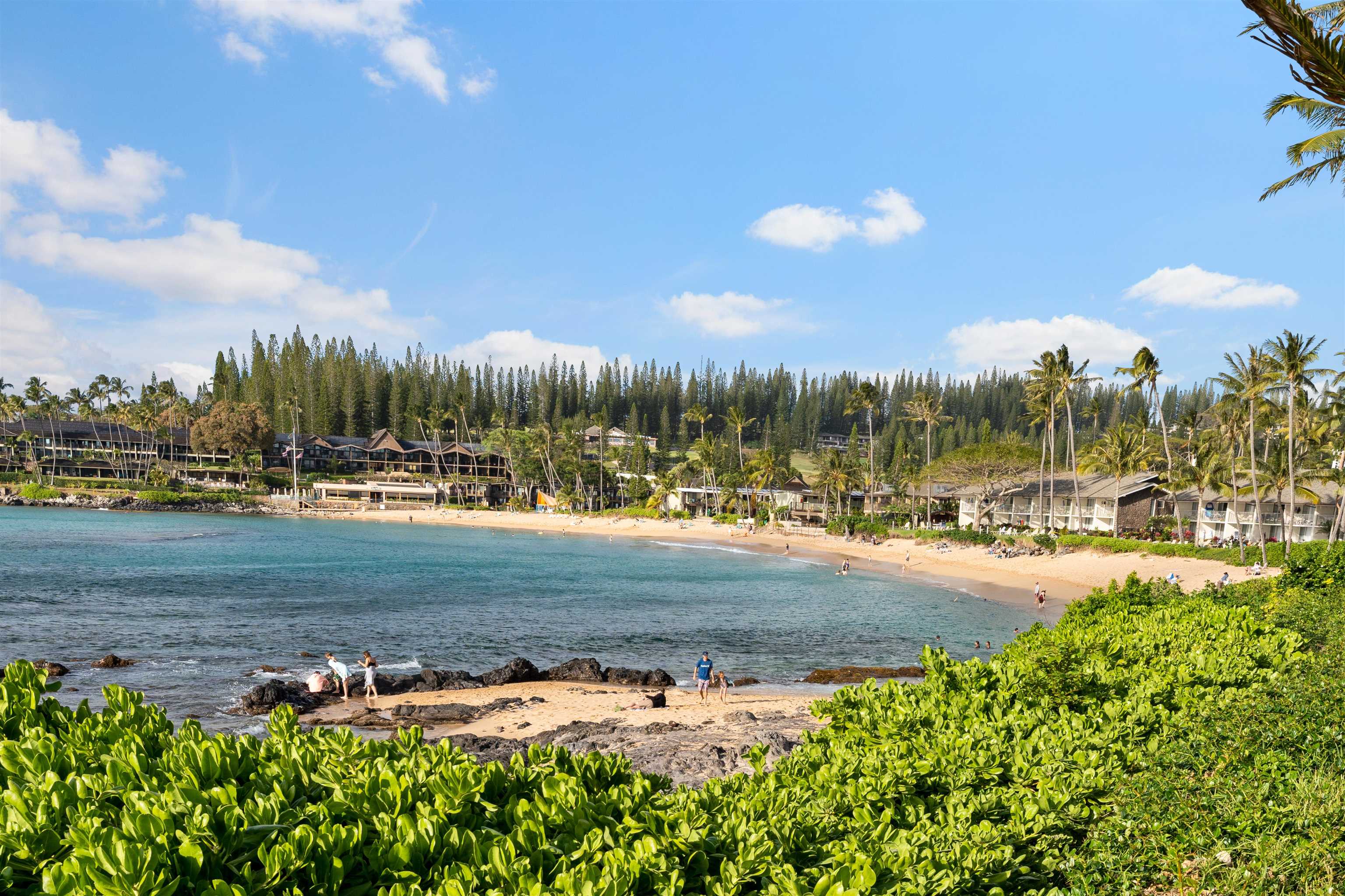 Napili Shores condo # H165, Lahaina, Hawaii - photo 38 of 43