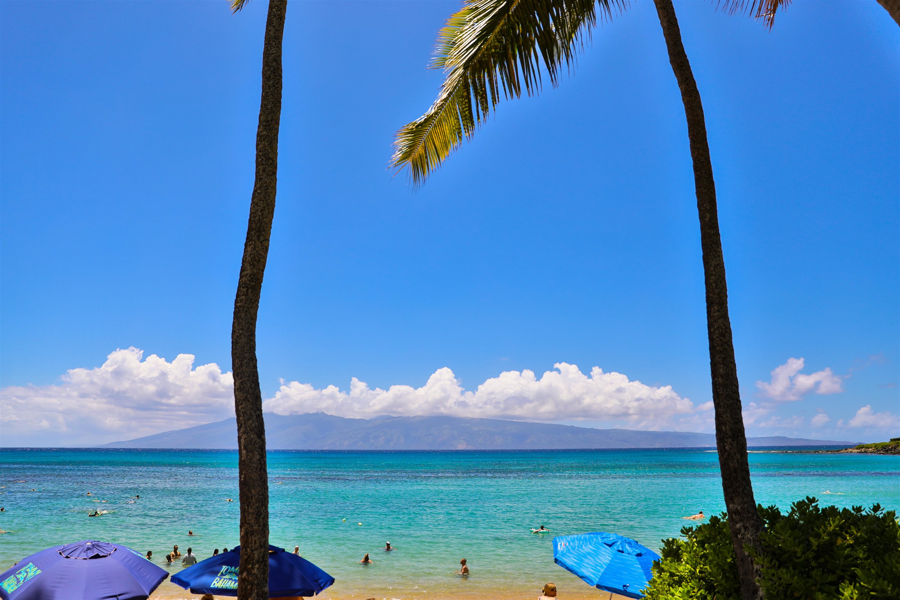 Napili Shores condo # H165, Lahaina, Hawaii - photo 43 of 43