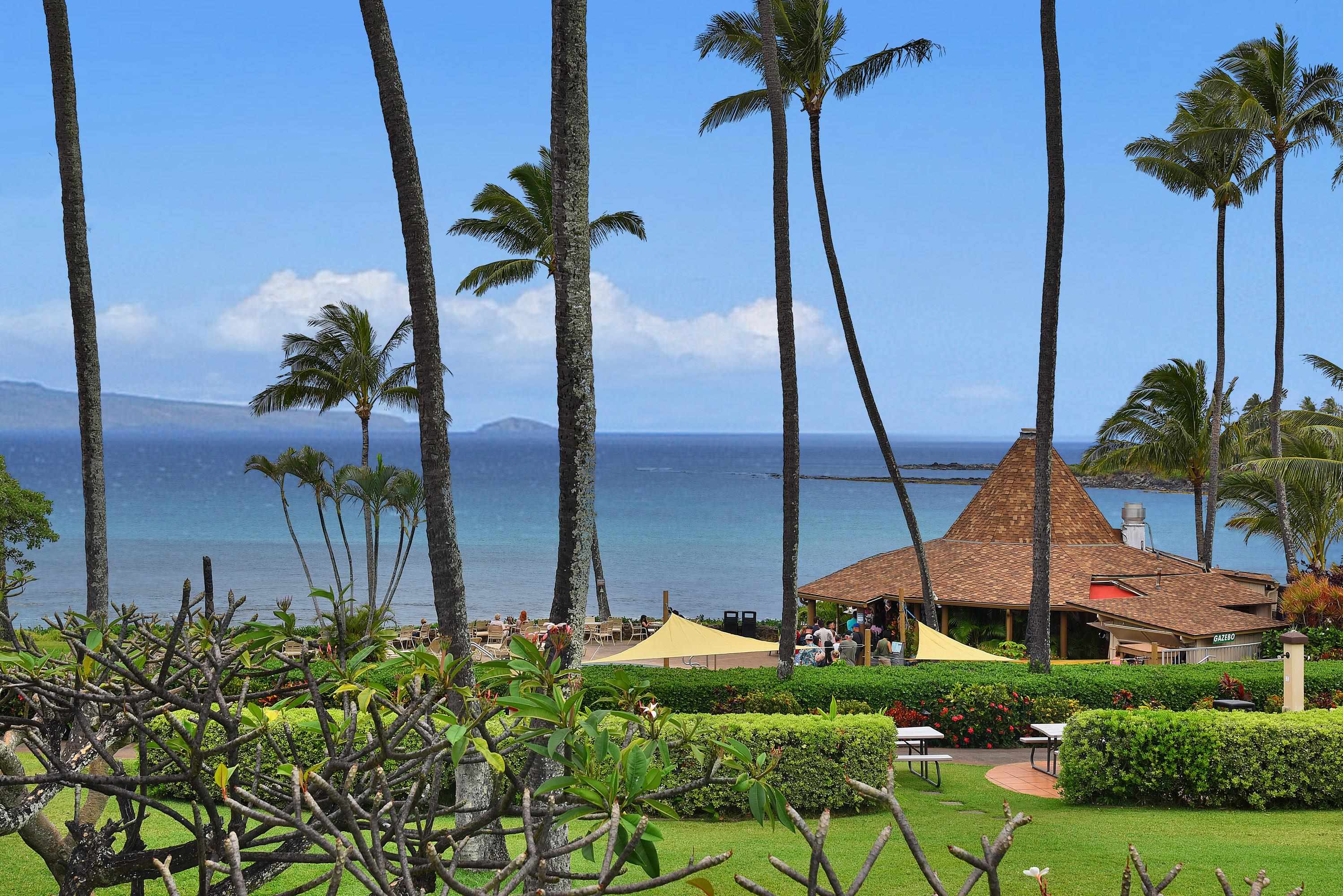 Napili Shores condo # H262, Lahaina, Hawaii - photo 2 of 31